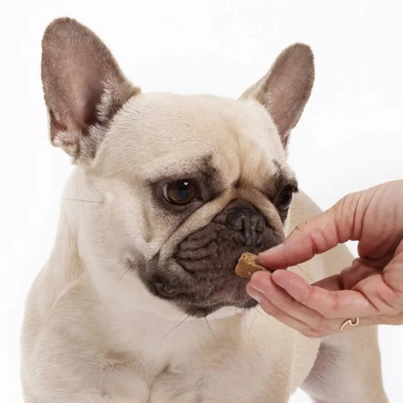 Ollie Amazon Supplements24.jpg