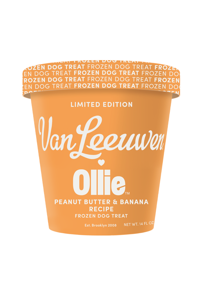 VL x Ollie_Pint_FRONT.png