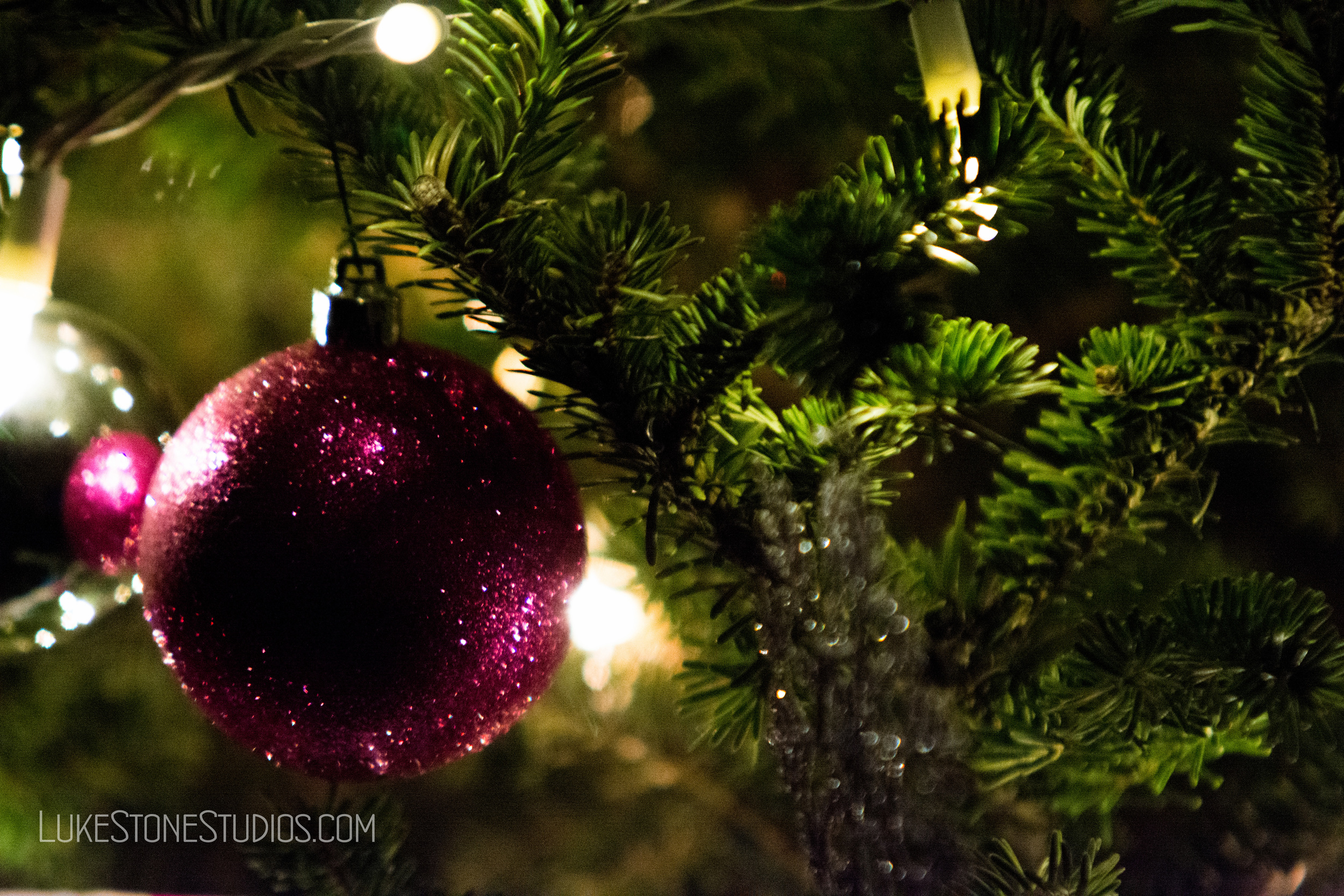 Christmas Bulb-1.jpg