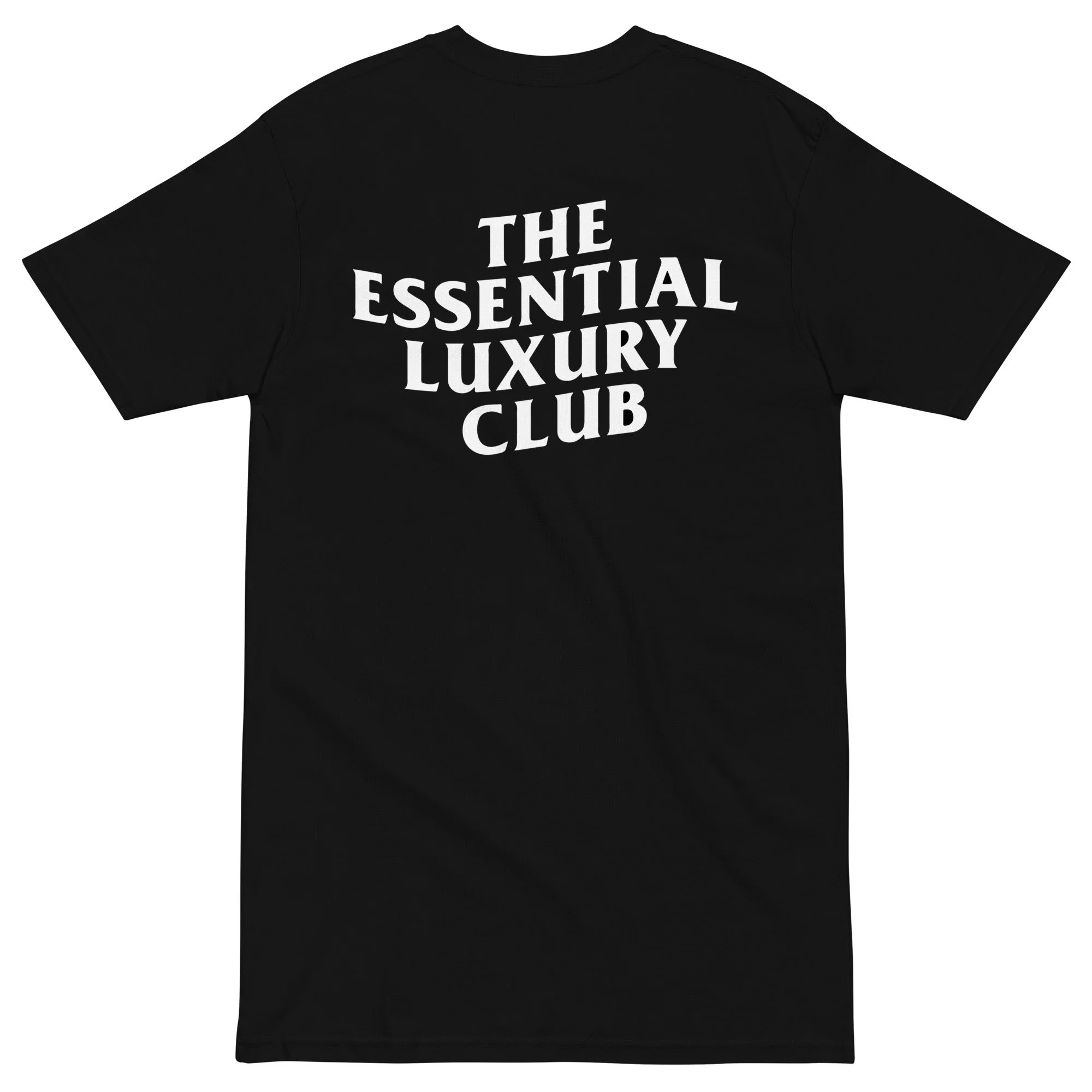 mens-premium-heavyweight-tee-black-back-678c3ce896b2d.jpg
