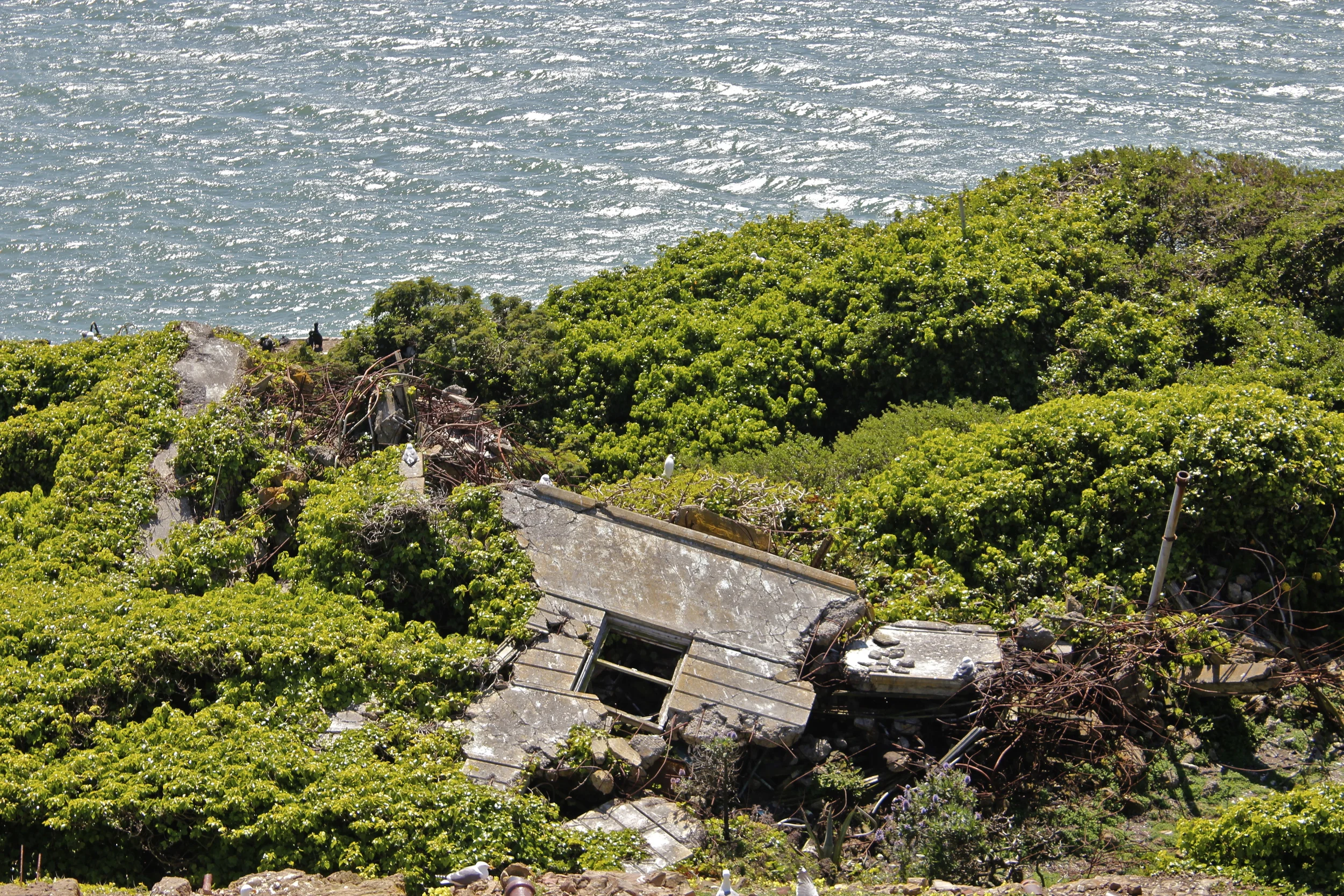 _MG_2897.JPG
