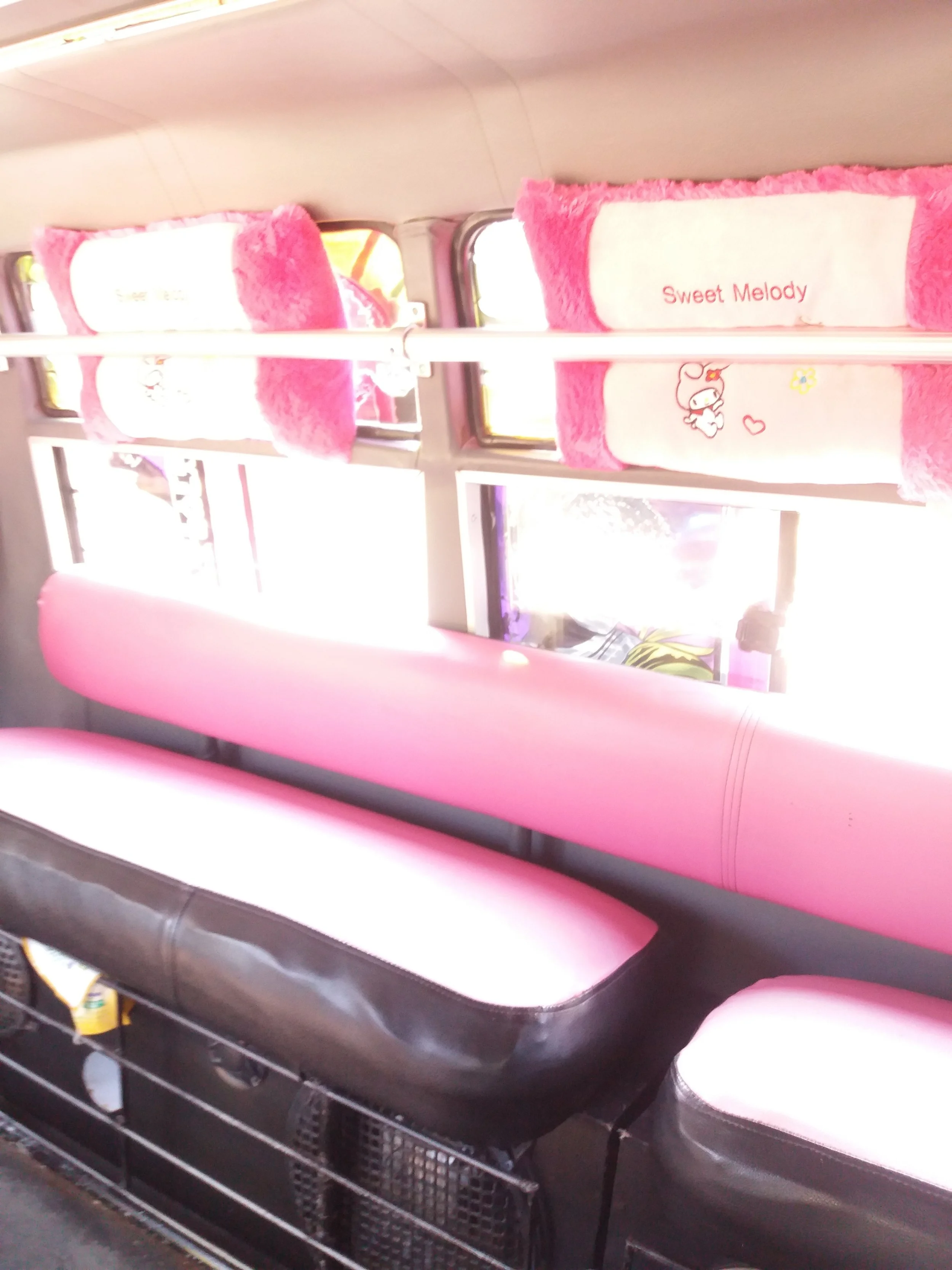 Huge speakers under the passenger seats