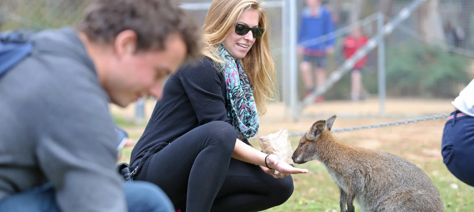 top-10-australian-wildlife-hostels-UniBRIDGE.jpg