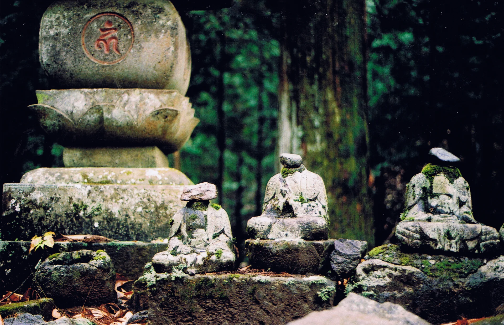 Nikko National Park, Japan