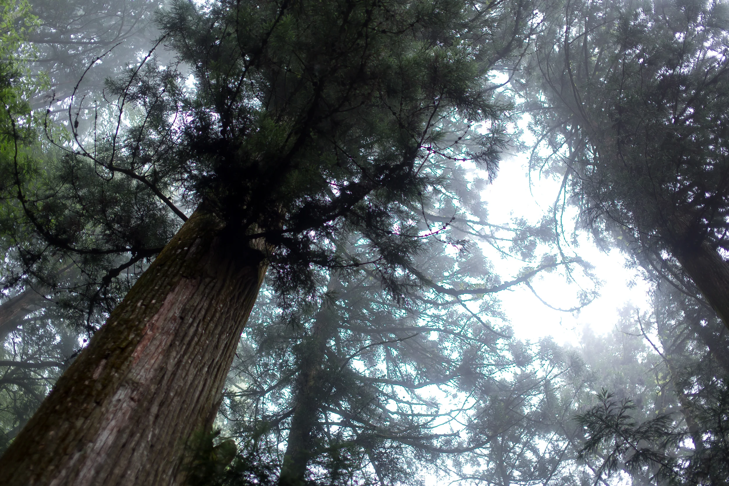 Nikko National Park, Japan