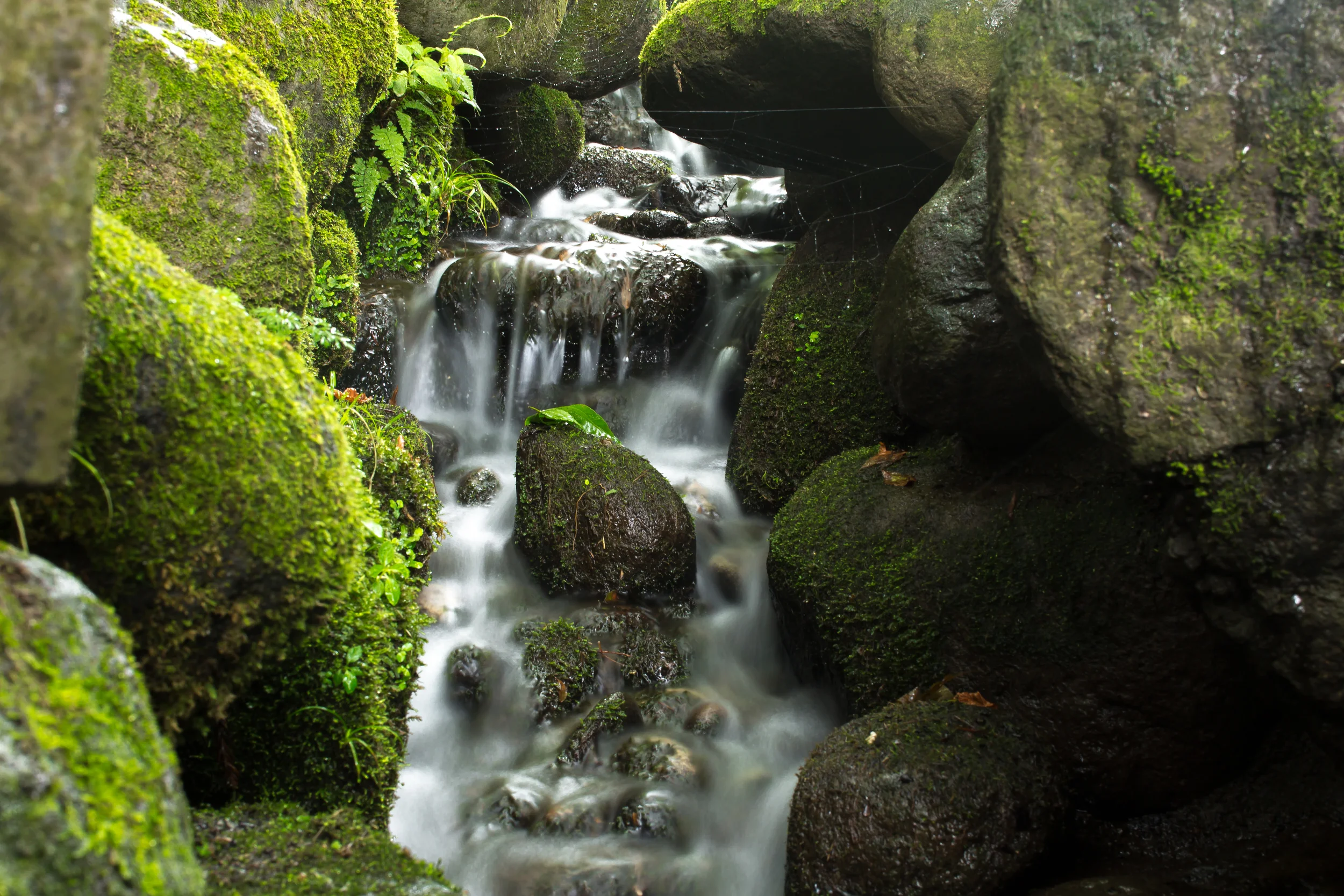 Nikko National Park, Japan