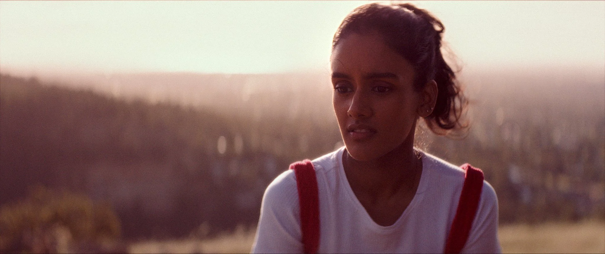 The Last Elephant on Earth