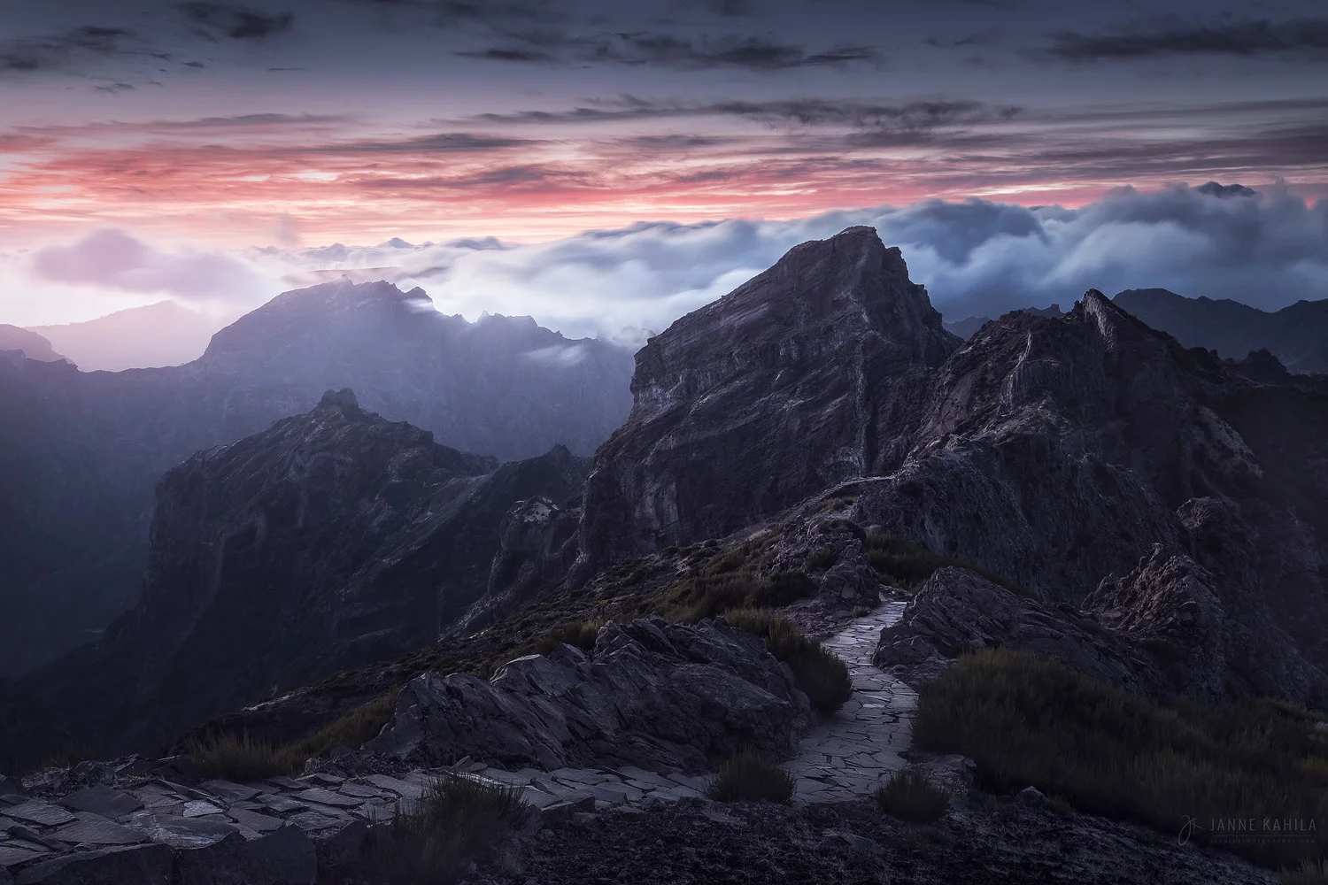 Into the Unknown