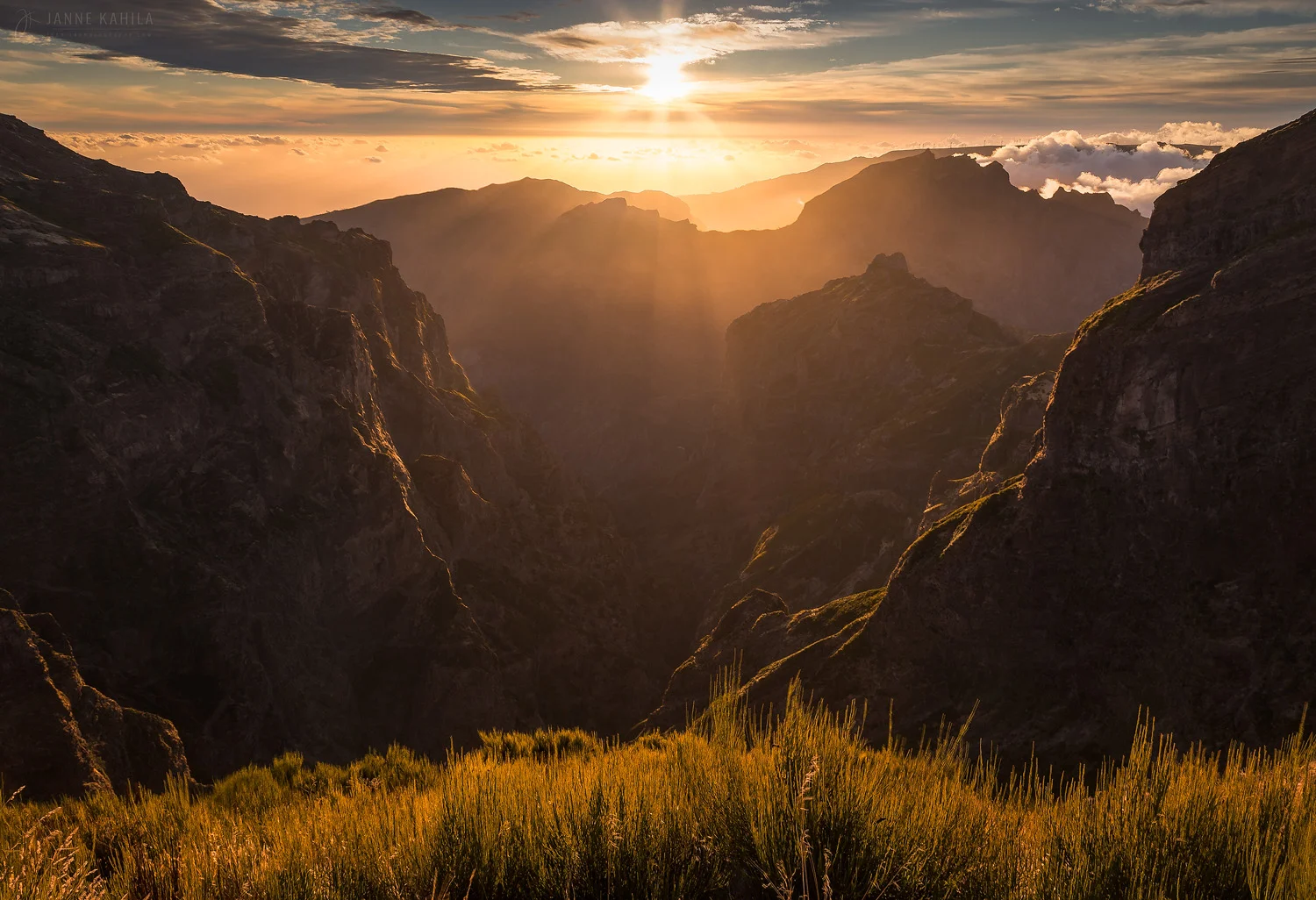 IMG_9652-Edit2-Edit copy.jpg