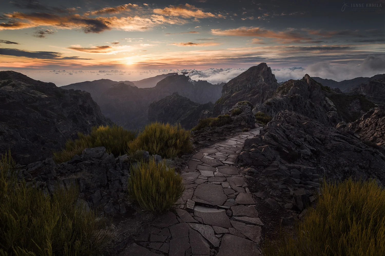 These Paths are Made for Walkin'