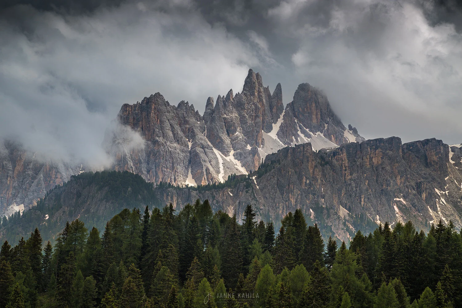 Rising From the Trees