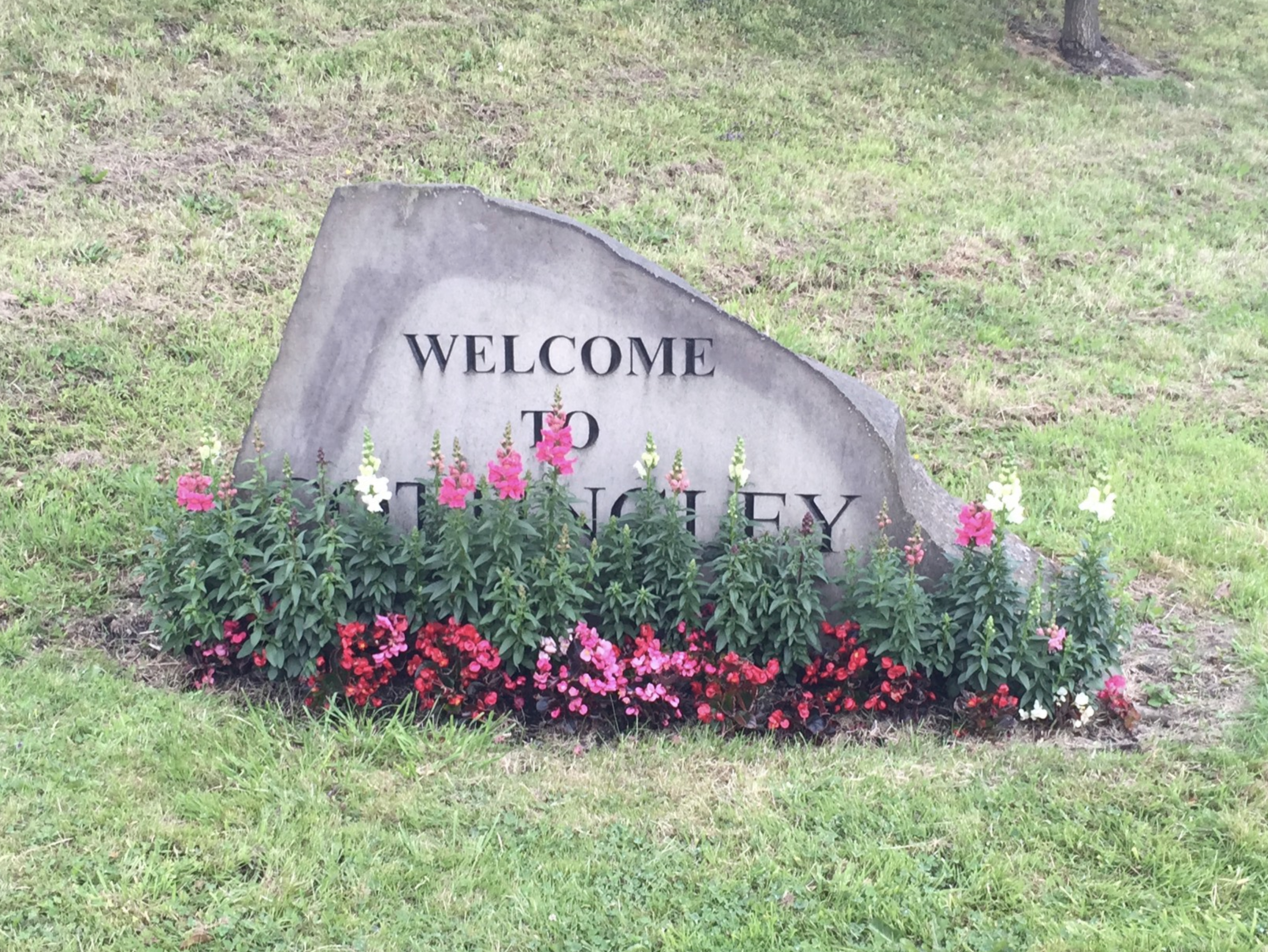 Welcome to
