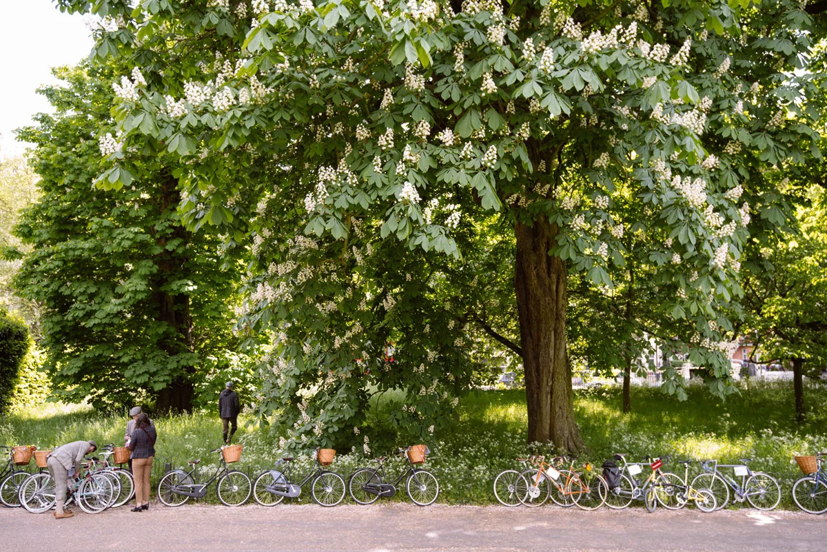 tweed run