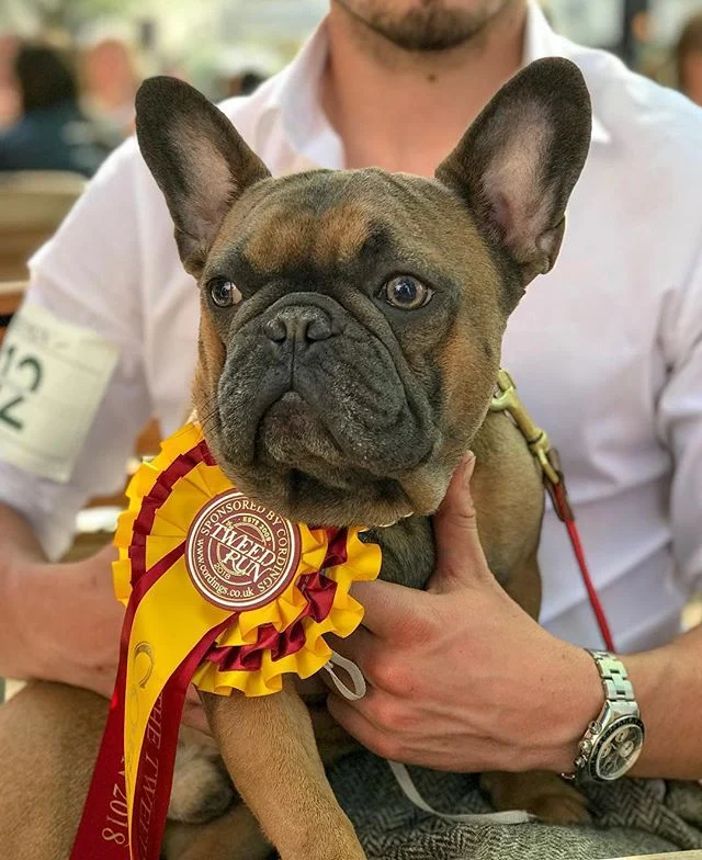 Another glorious #TweedRun completed, in splendid weather (some would say a little too splendid for tweed - hats off to one and all). Thanks to all our riders and passengers, especially @reginald.mccormack here. Until next year, London! 🚲