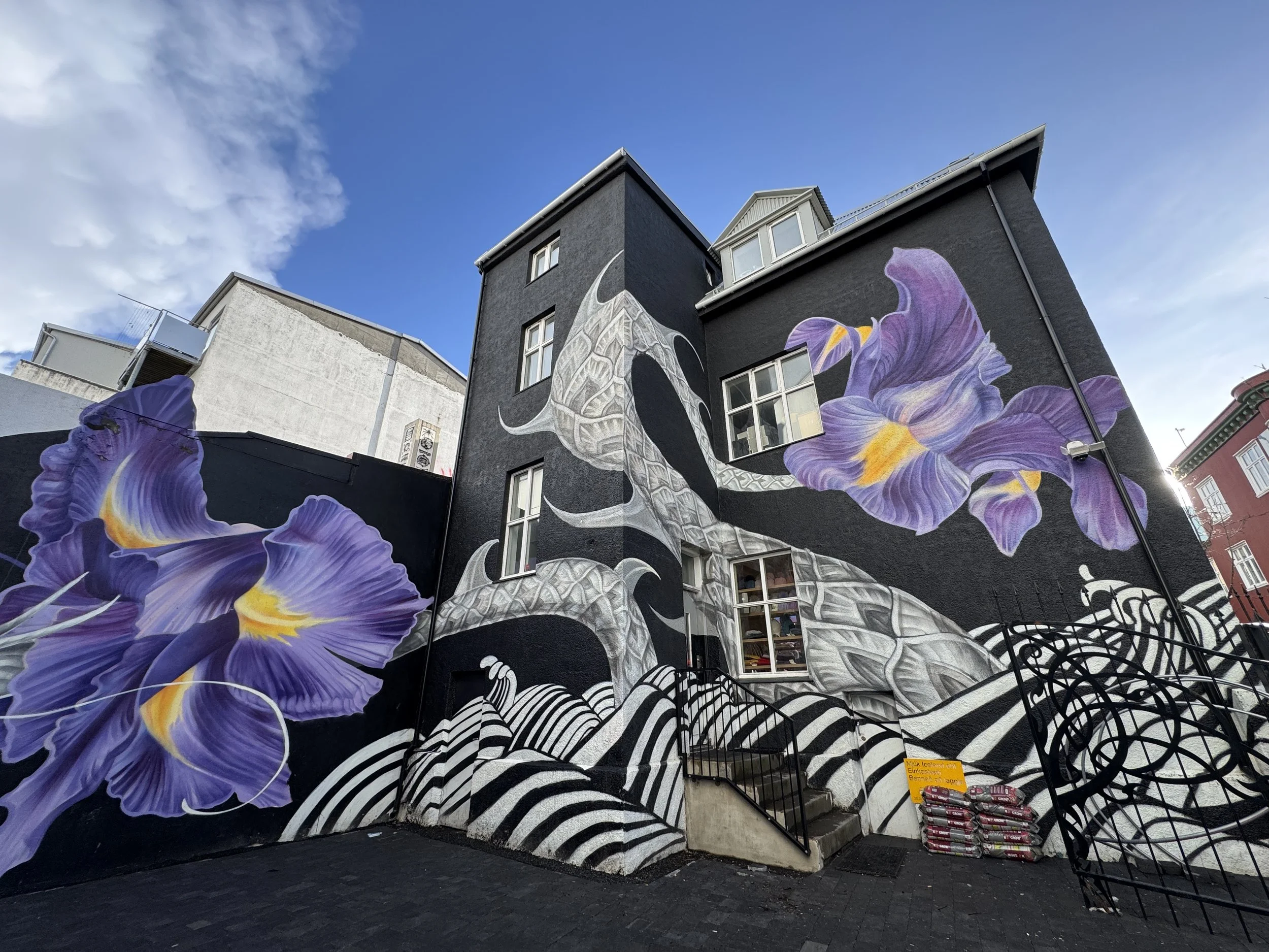 rzandvliet_reykjavik_IMG_6611 2.JPG