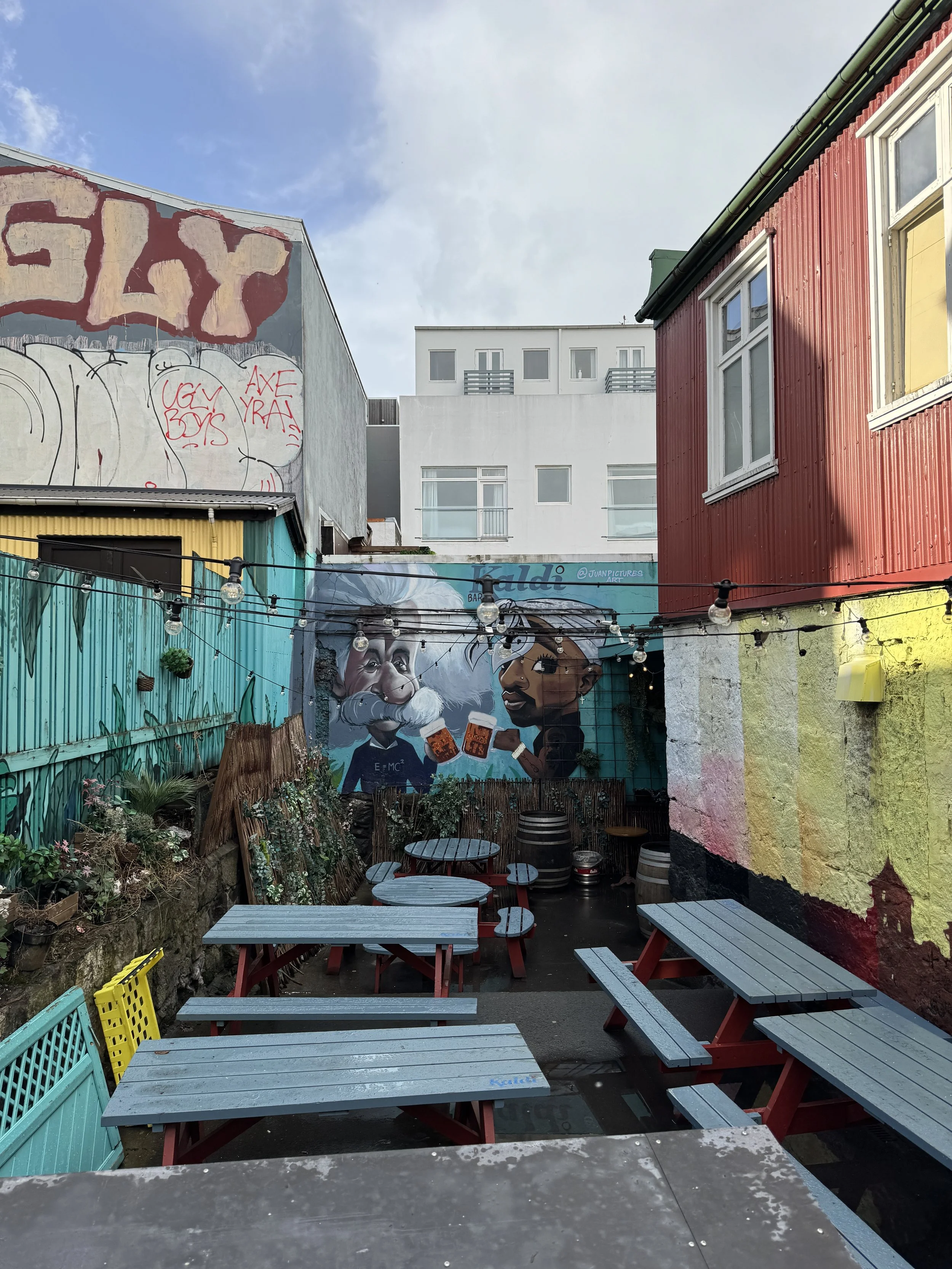 rzandvliet_reykjavik_IMG_6600 2.JPG