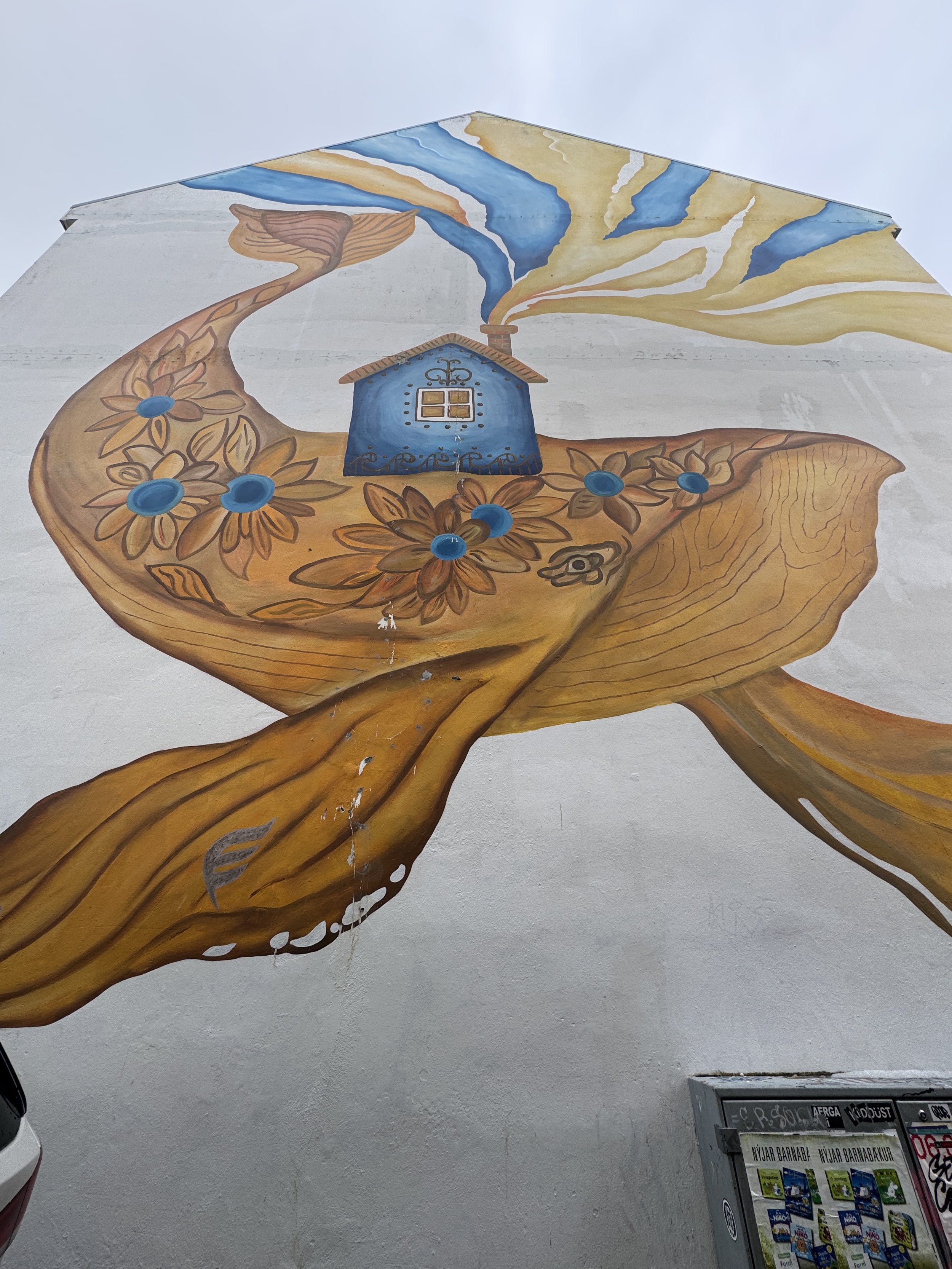 rzandvliet_reykjavik_IMG_6573 2.JPG