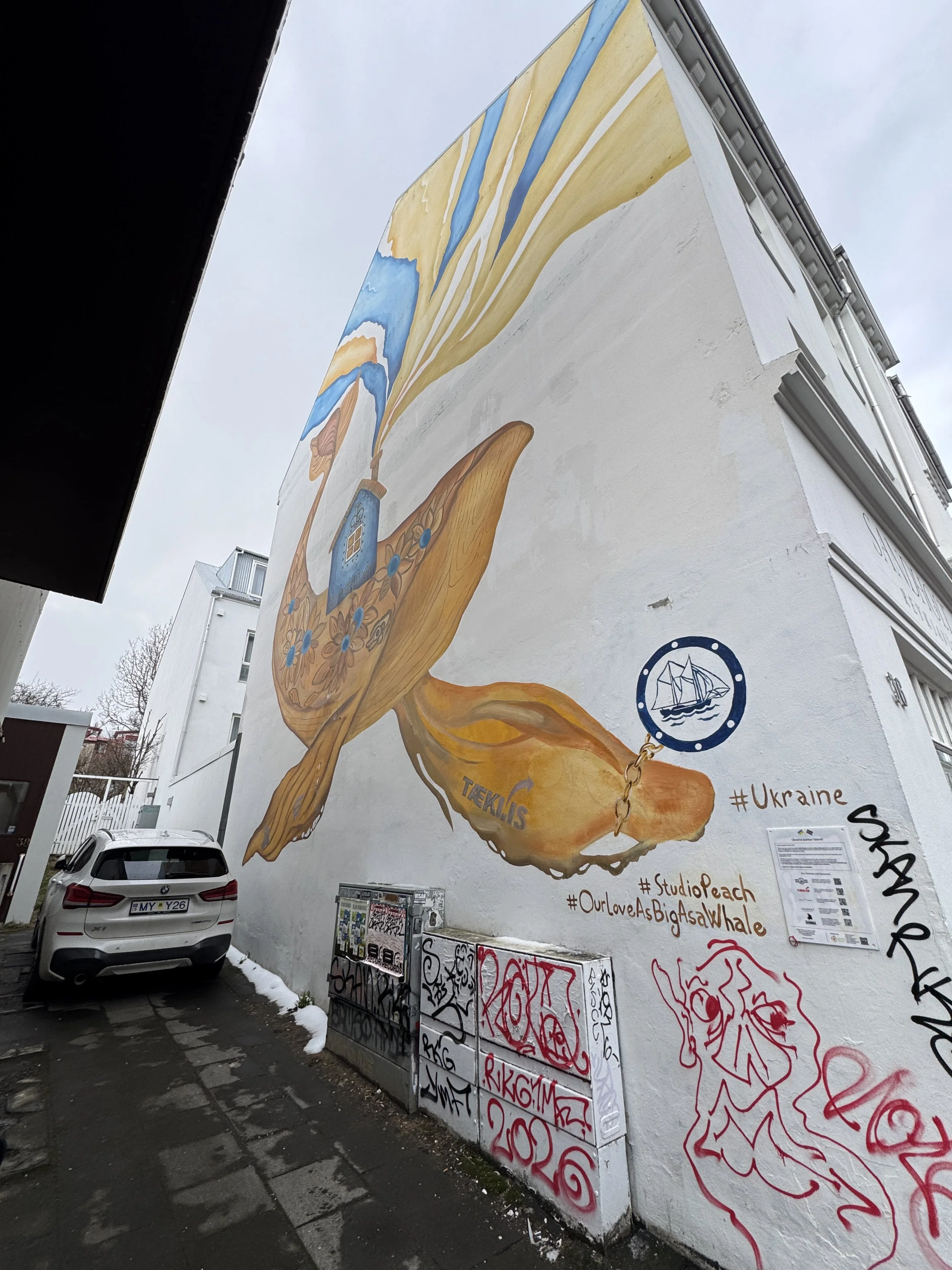 rzandvliet_reykjavik_IMG_6571 2.JPG