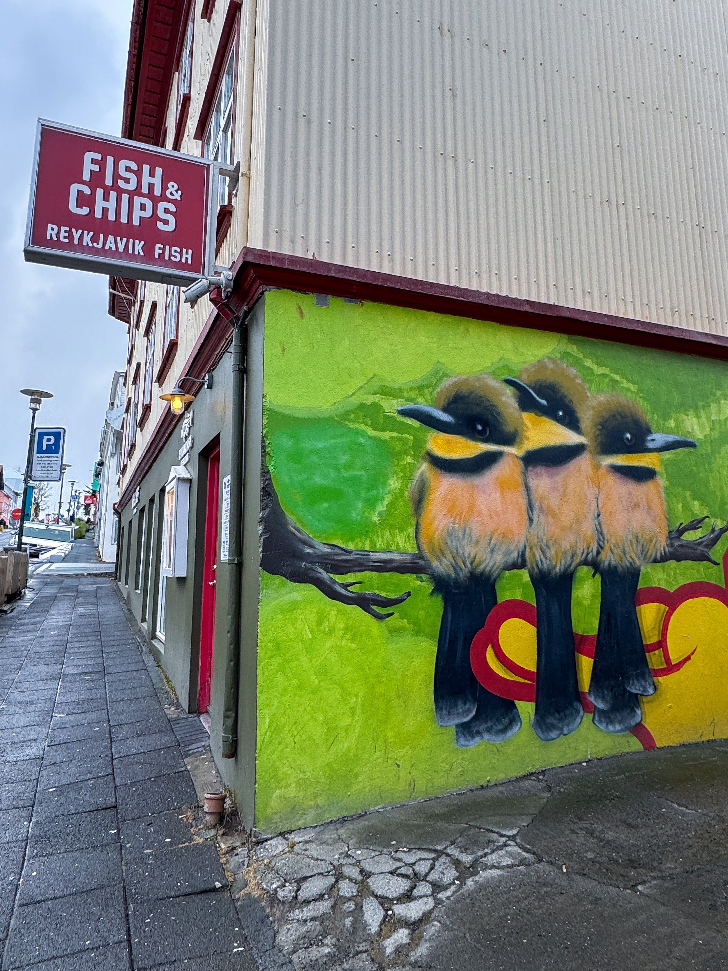 rzandvliet_reykjavik_IMG_6566 3.JPG