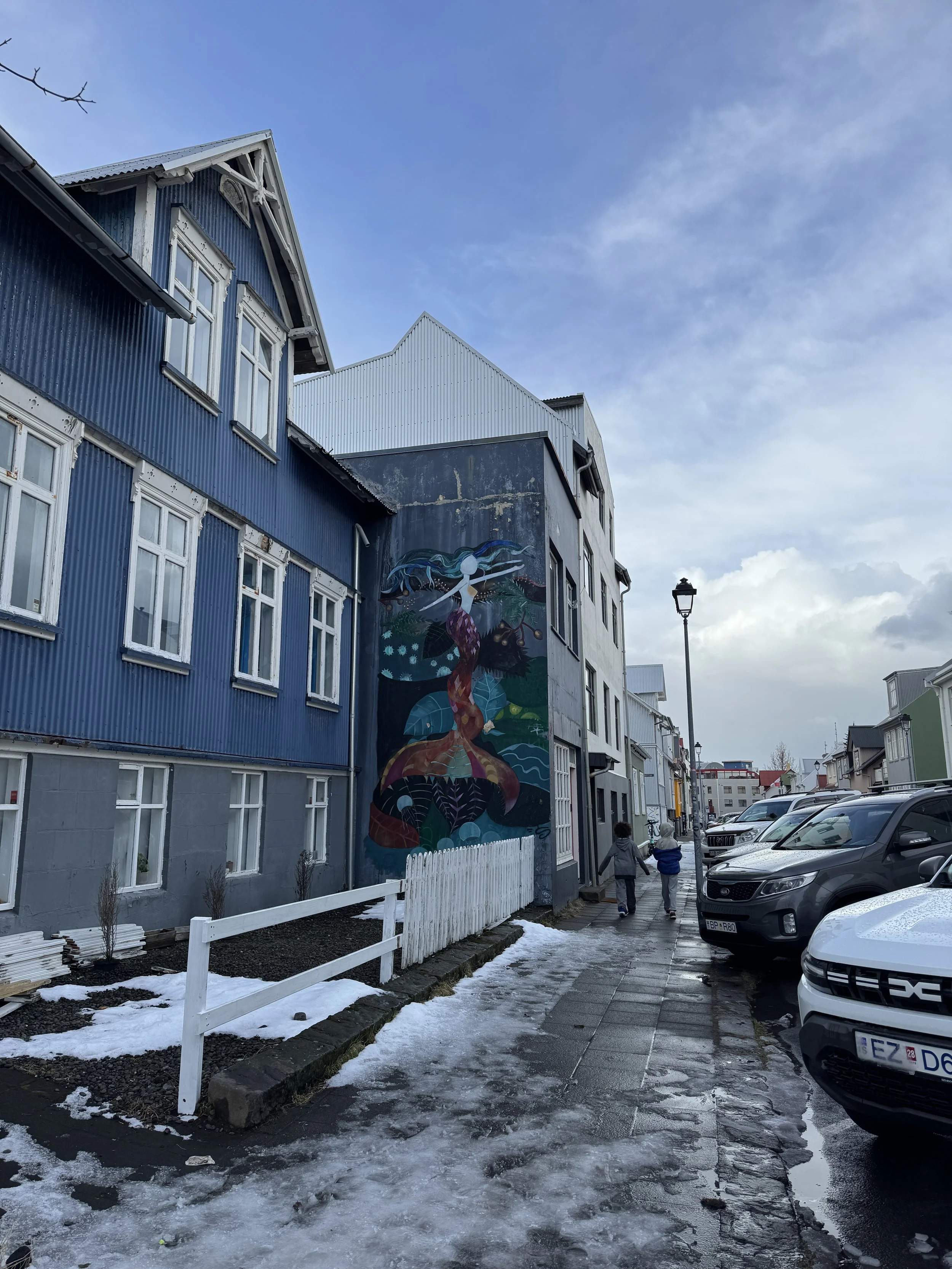 rzandvliet_reykjavik_IMG_6558 2.JPG