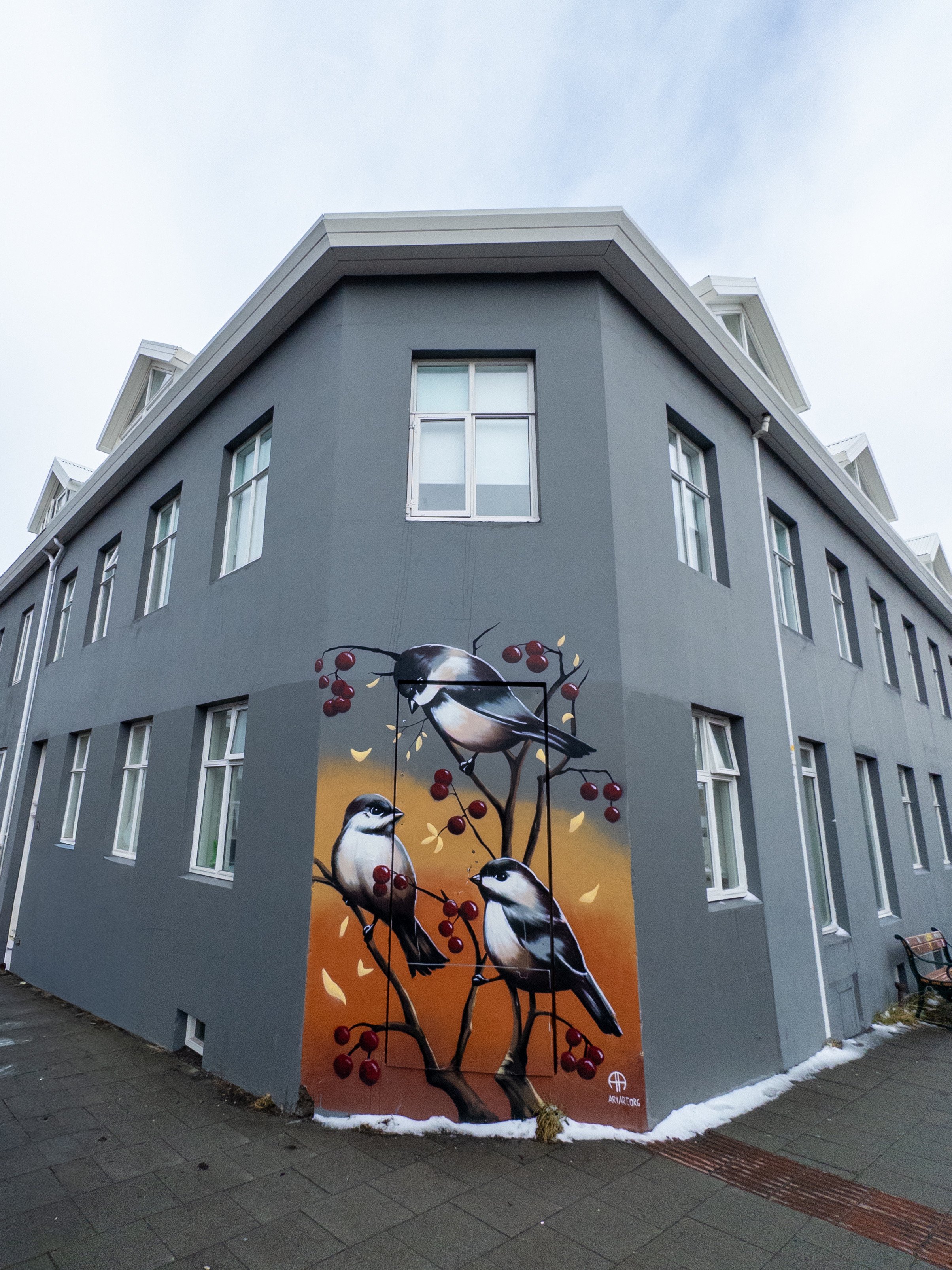 rzandvliet_reykjavik_IMG_6549 2.JPG