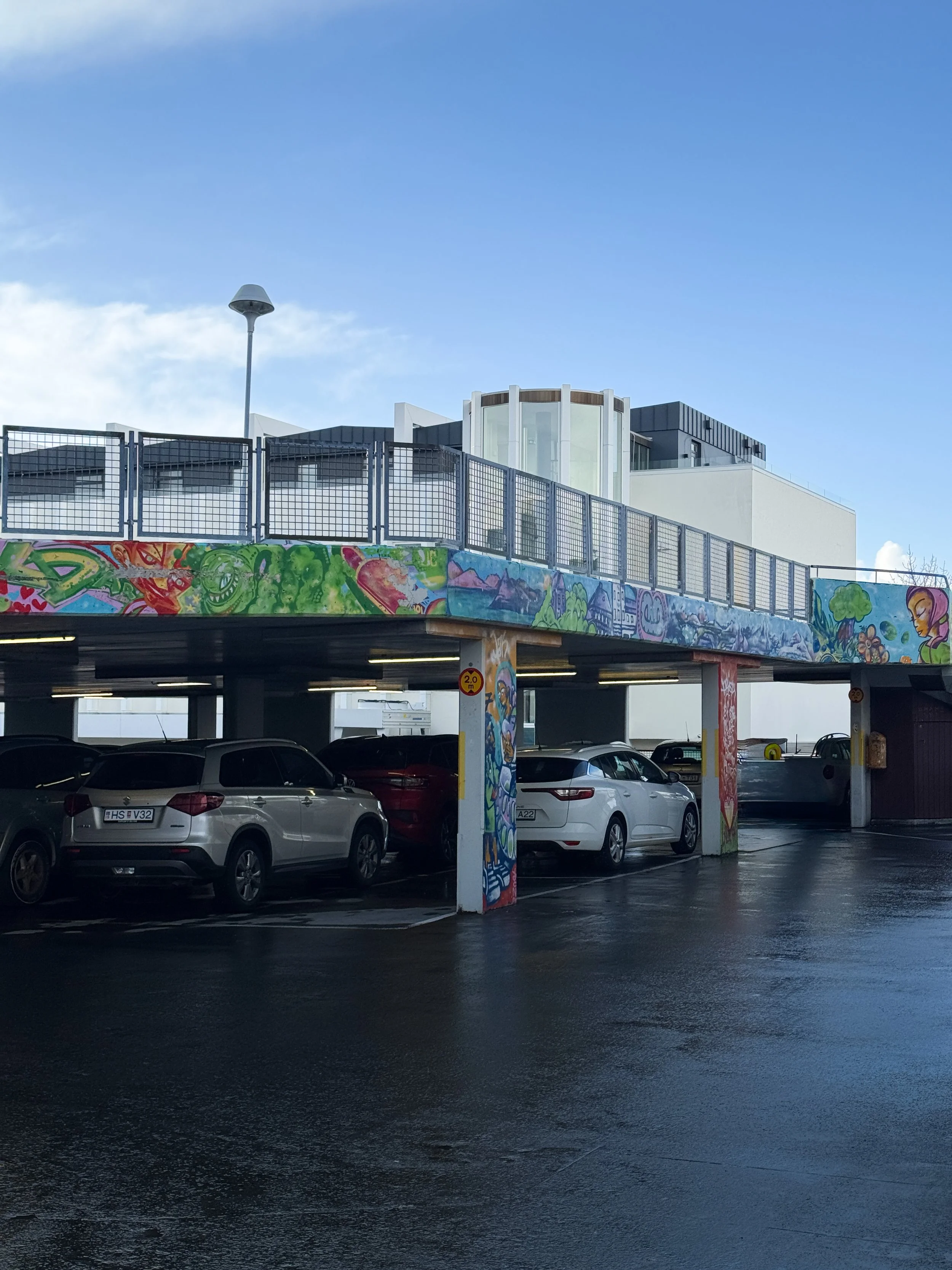 rzandvliet_reykjavik_IMG_6630 3.JPG