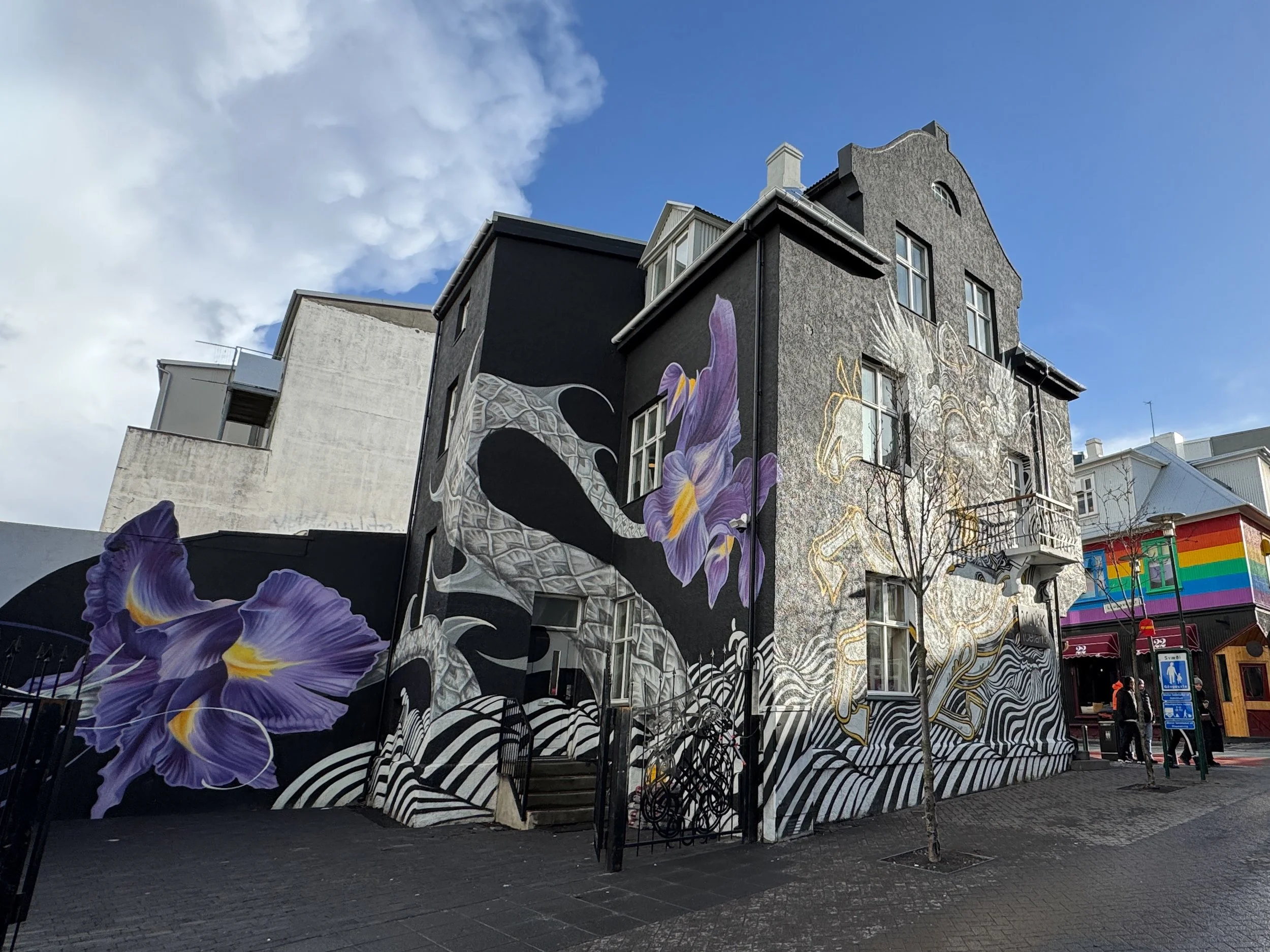 rzandvliet_reykjavik_IMG_6608 3.JPG