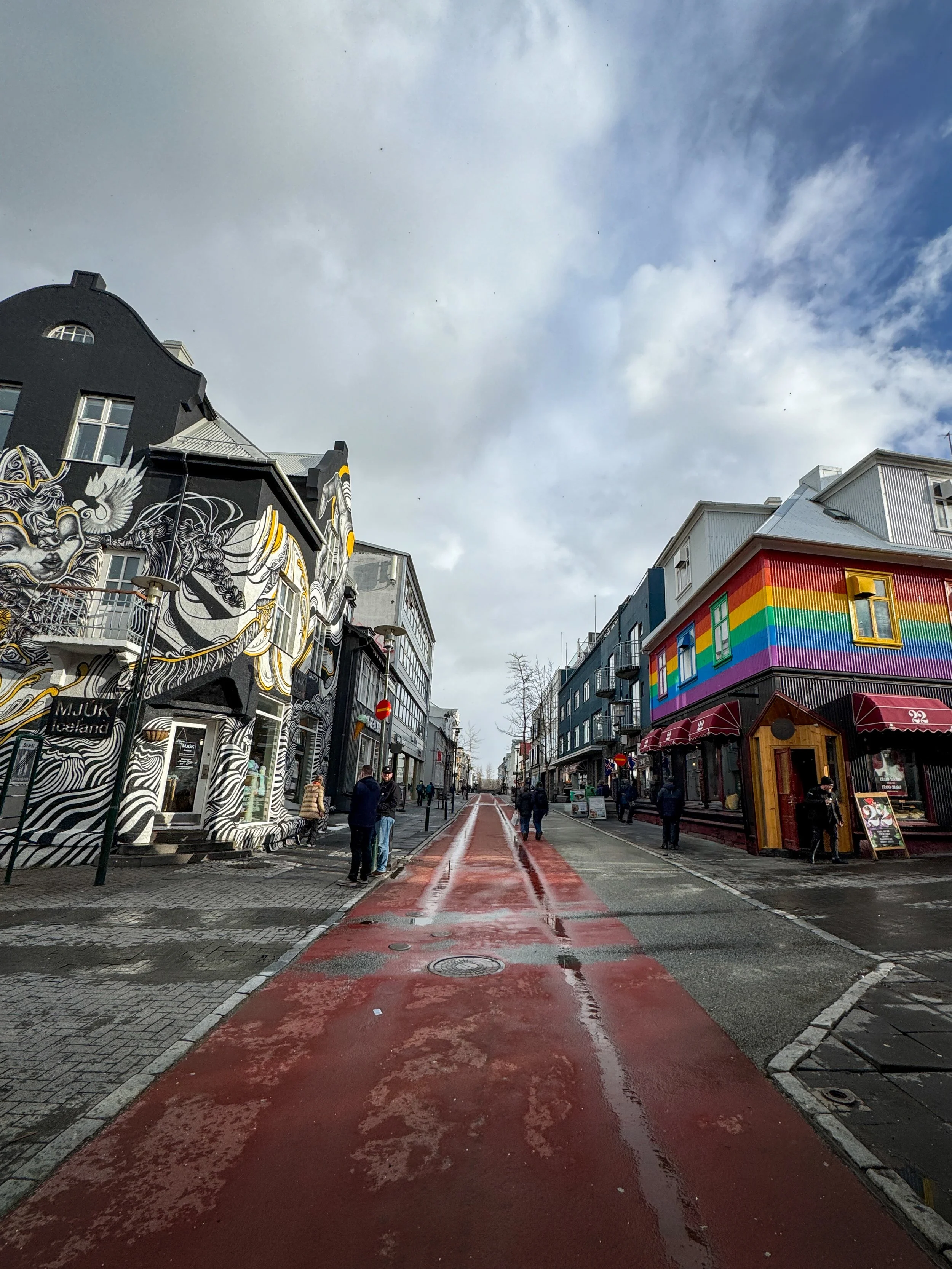 rzandvliet_reykjavik_IMG_6594 3.JPG