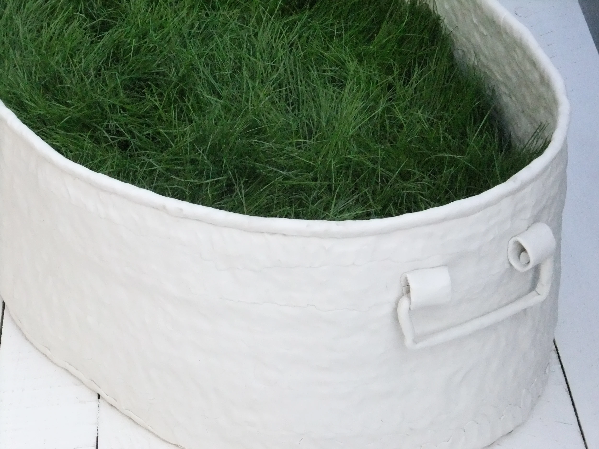 A small plot. (Detail)