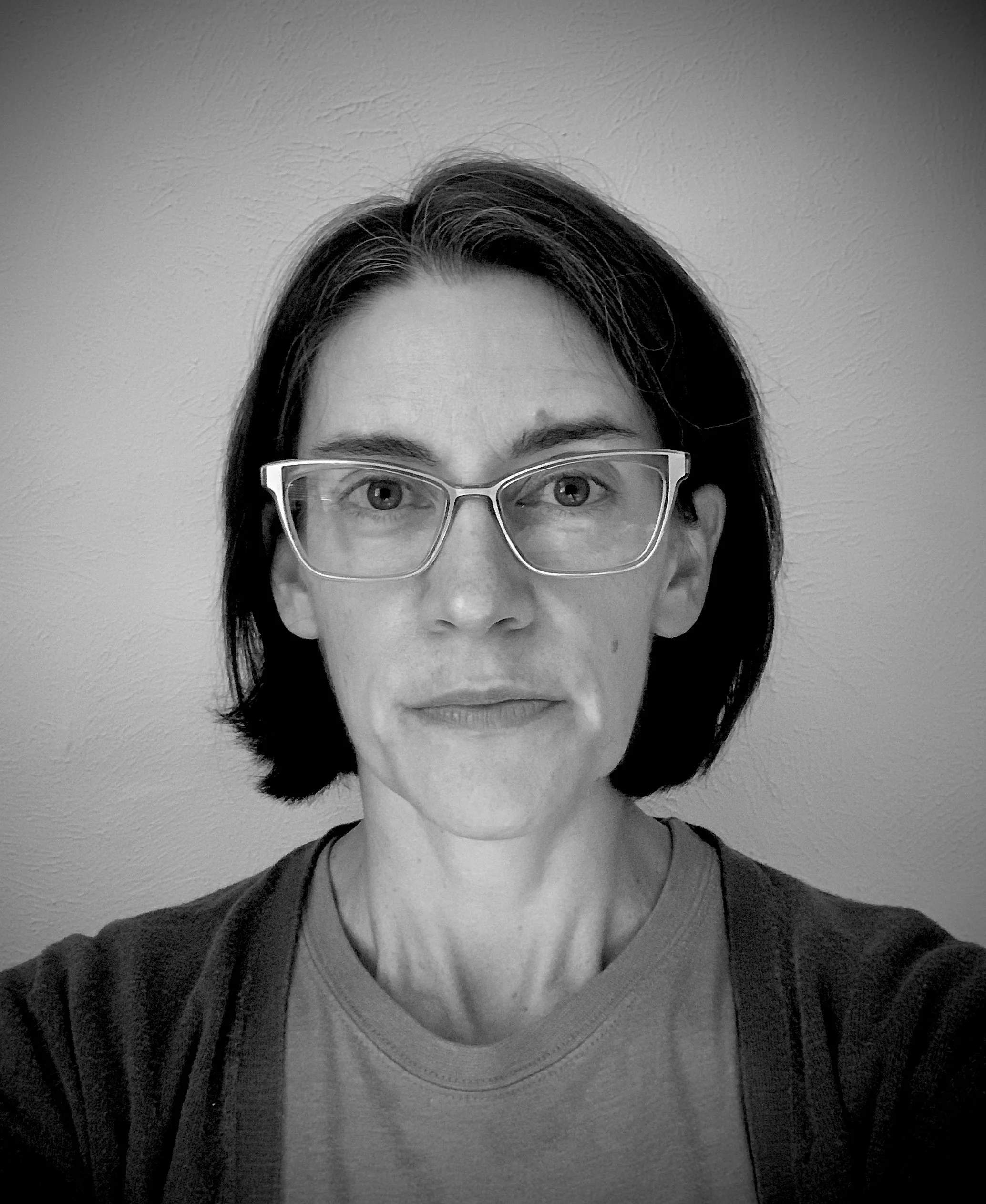 Artist Lecture and Reception, Endicott College