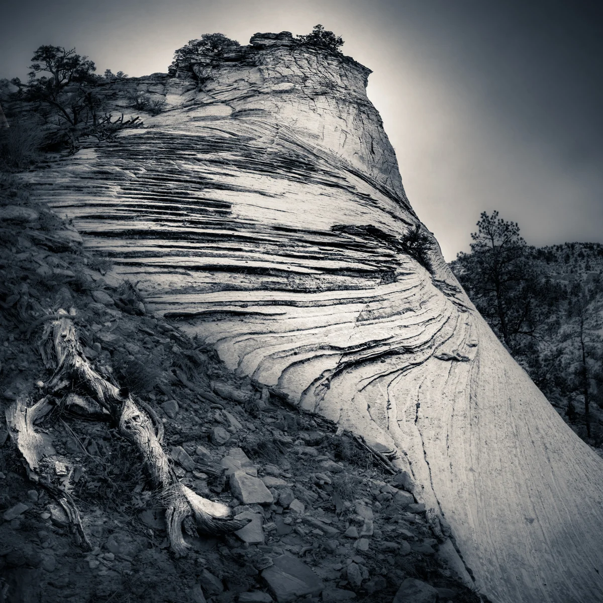 eastgatemesa-100 Panorama-2.jpg