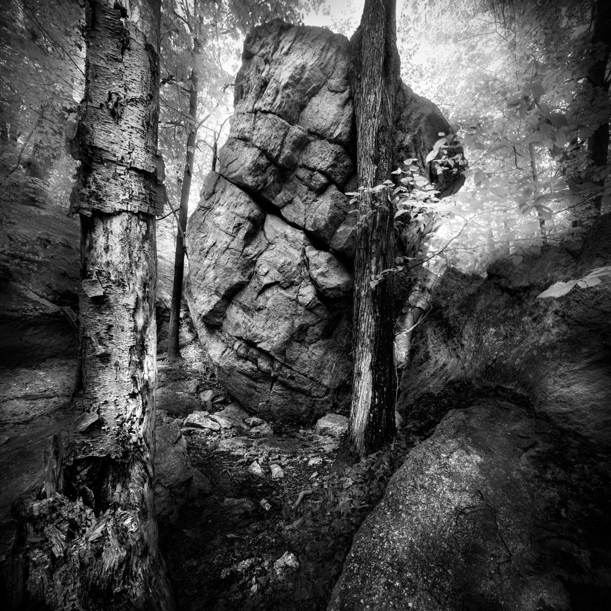 lostcity052314-7-101 Panorama.jpg