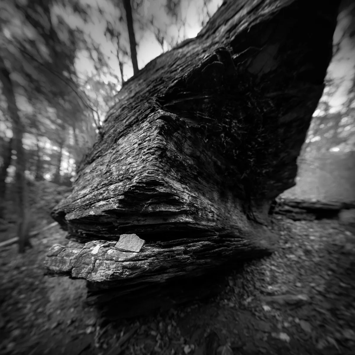 anglerock-100 Panorama.jpg