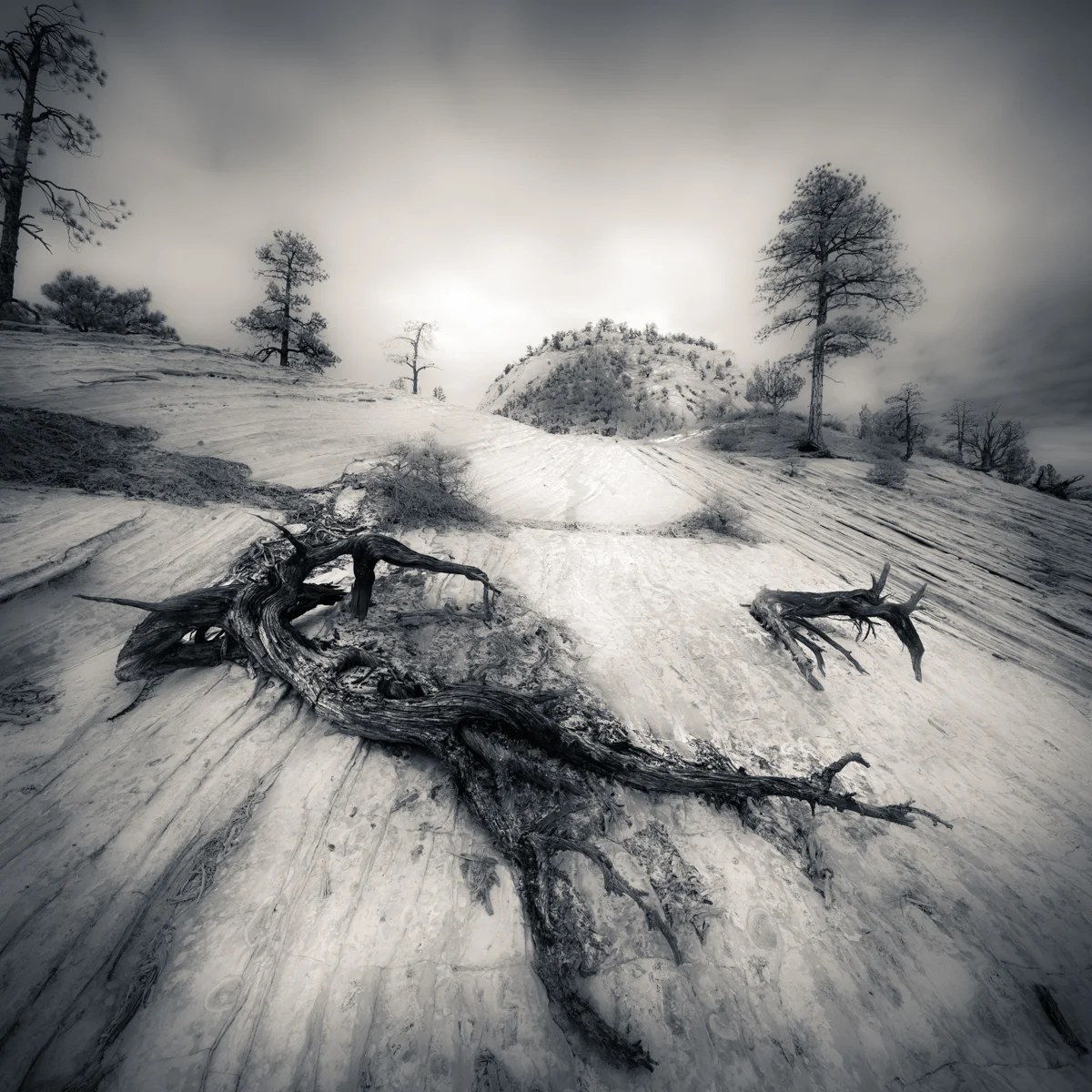 bleakeastrim--100 Panorama.jpg
