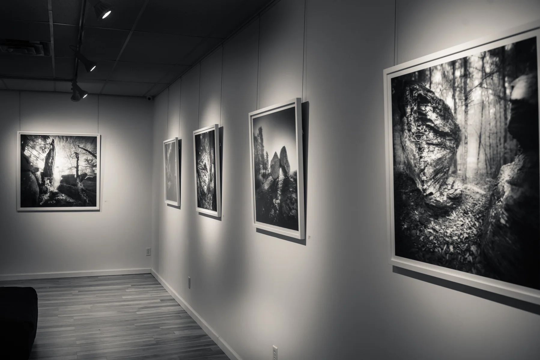 ARTBAR gallery show. Kingston NY, June 2015