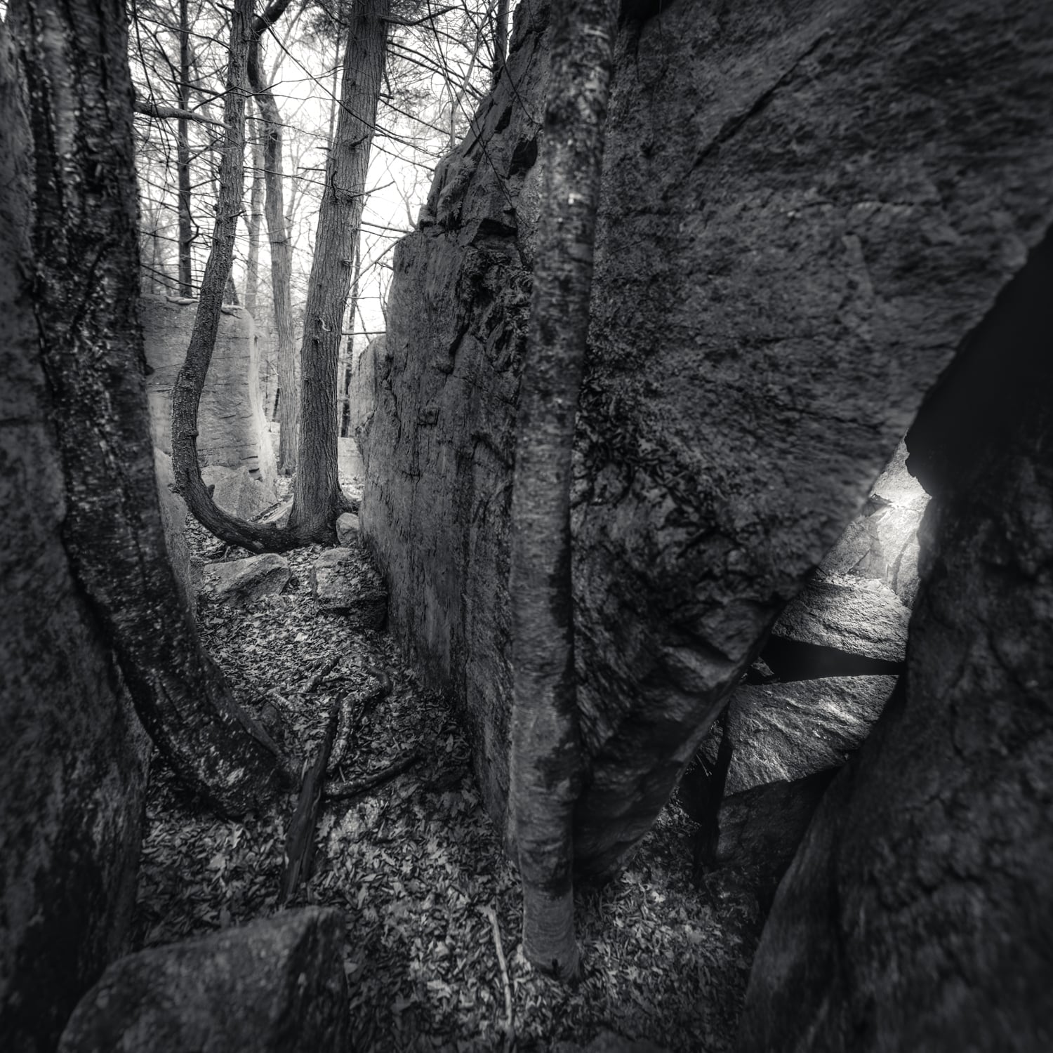 rift3-4-101 Panorama.jpg