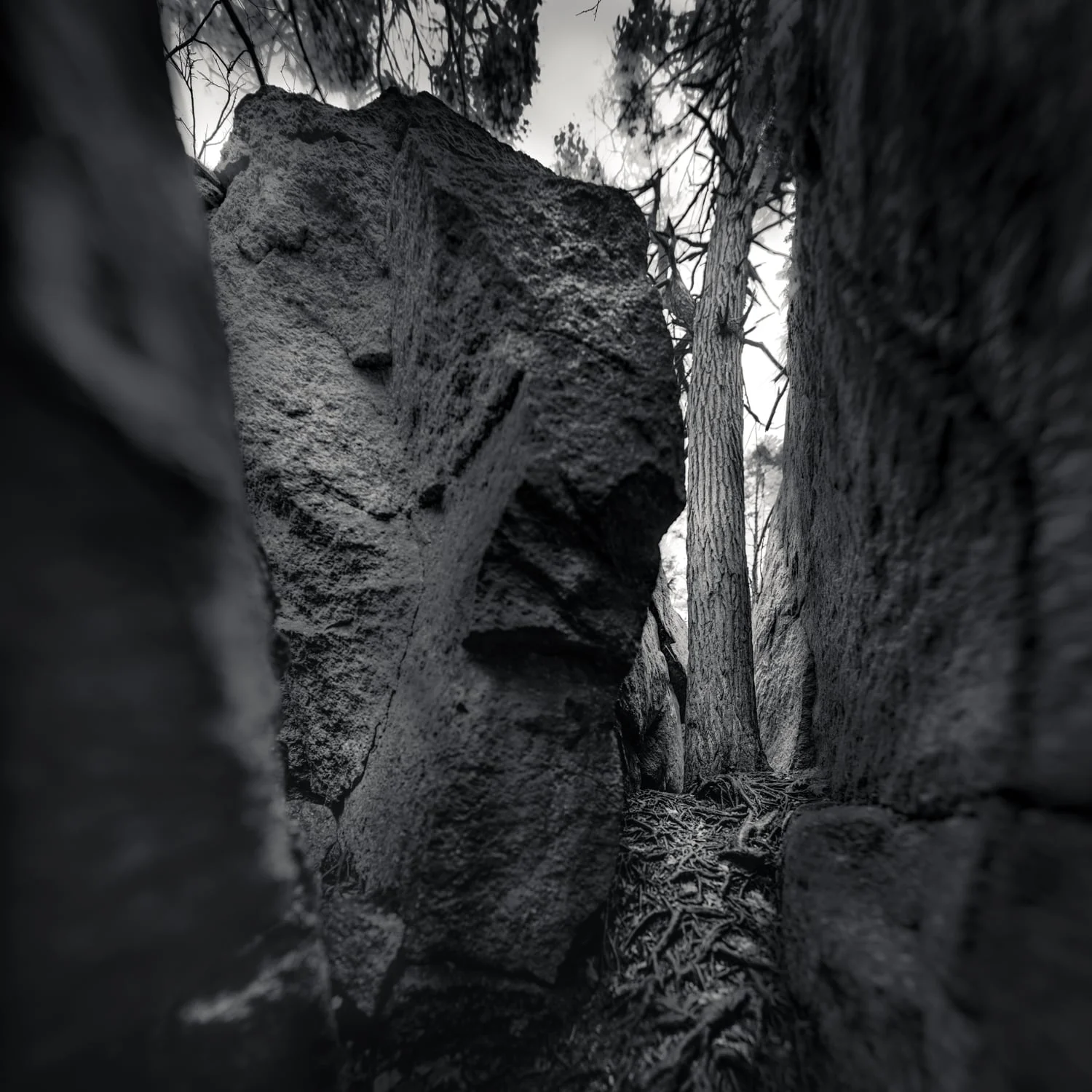 riftmore3-101 Panorama.jpg