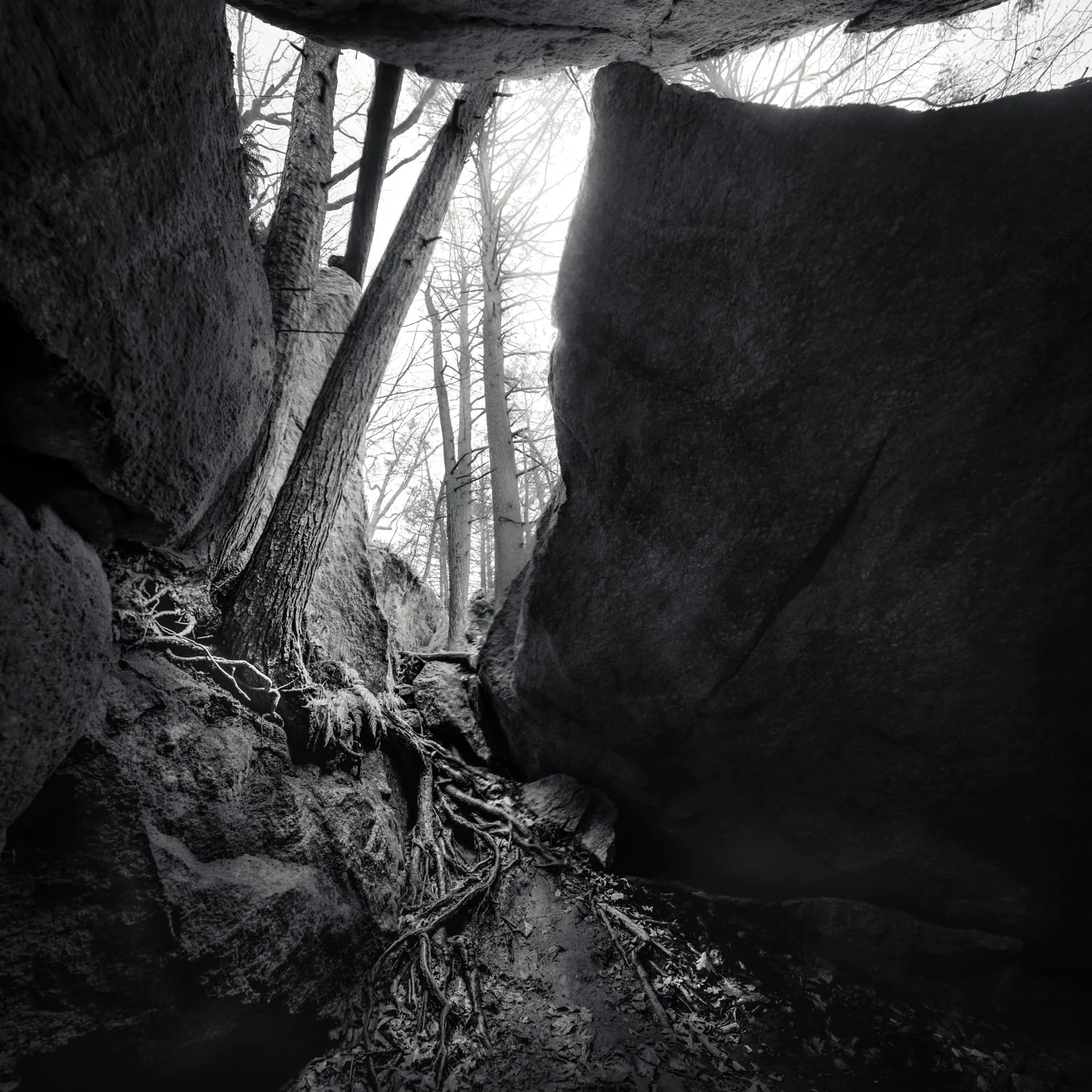 riftmore1-123 Panorama.jpg
