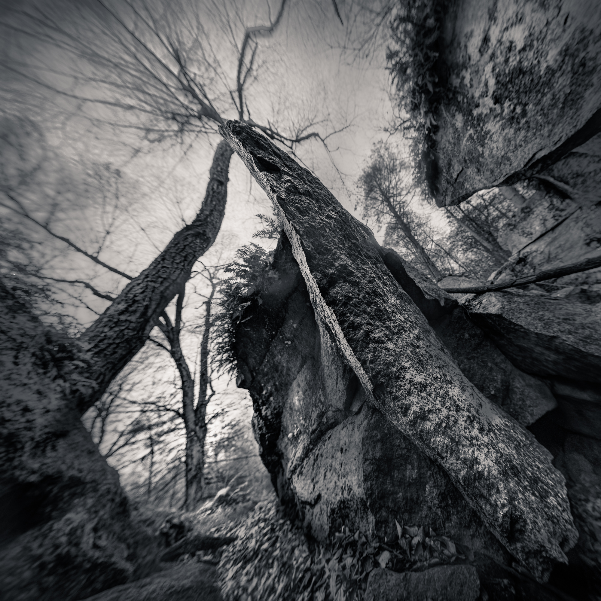 _DSC6661 feature at end Panorama-rect - 3-31-2019.jpg