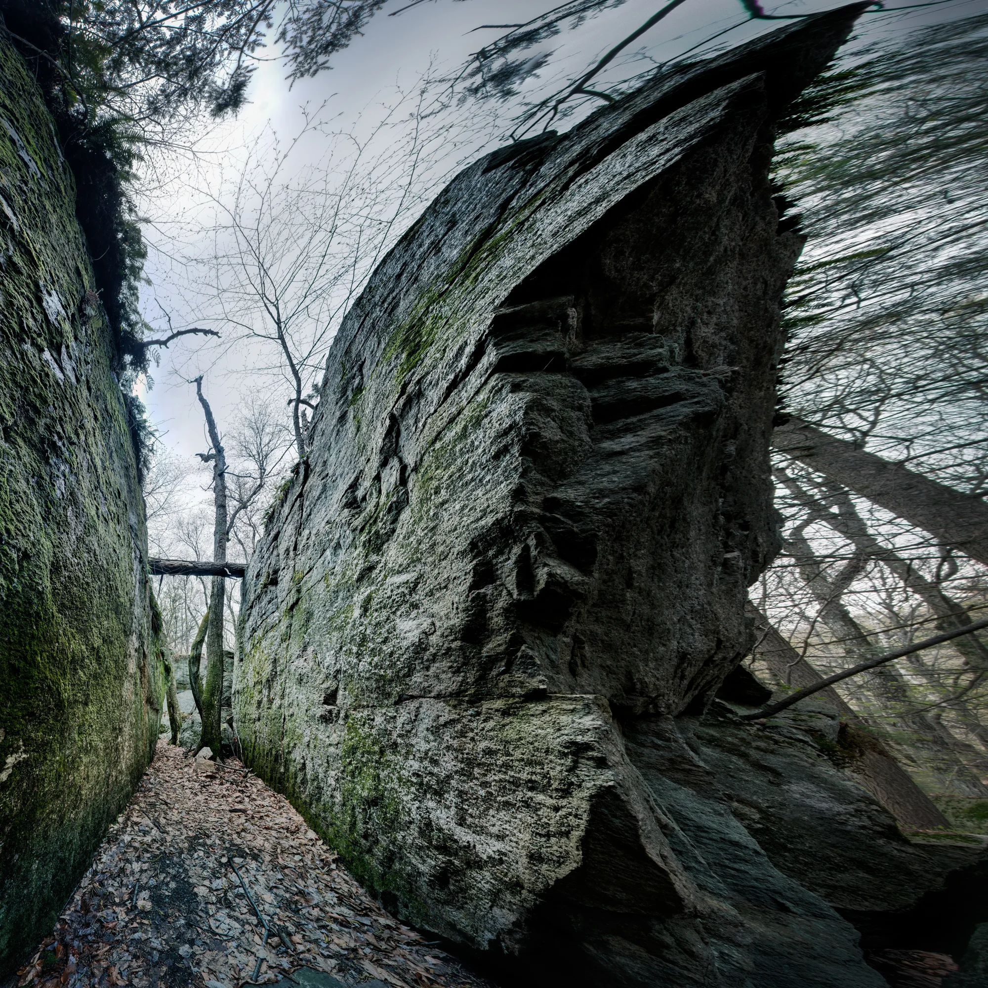 Set015from_DSC07892 Panorama.jpg