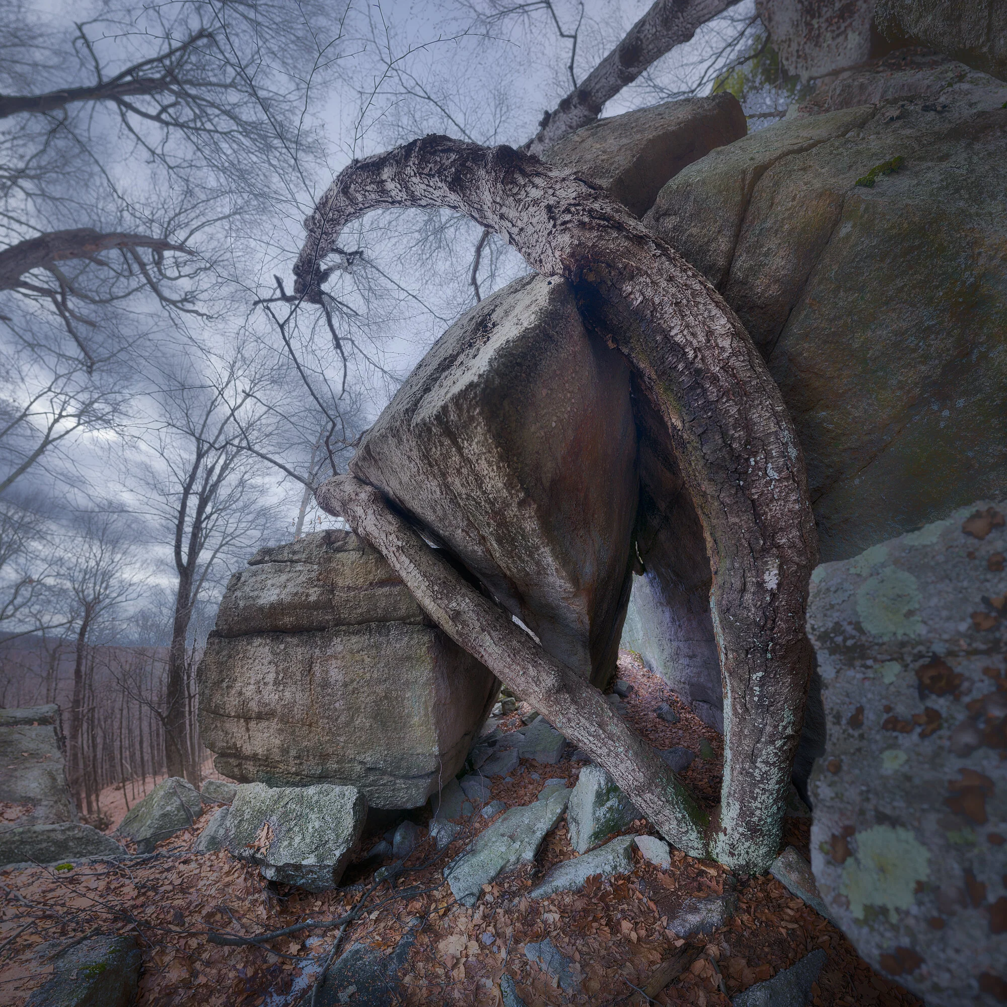 Triangle rock redux 10-16-2021.jpg