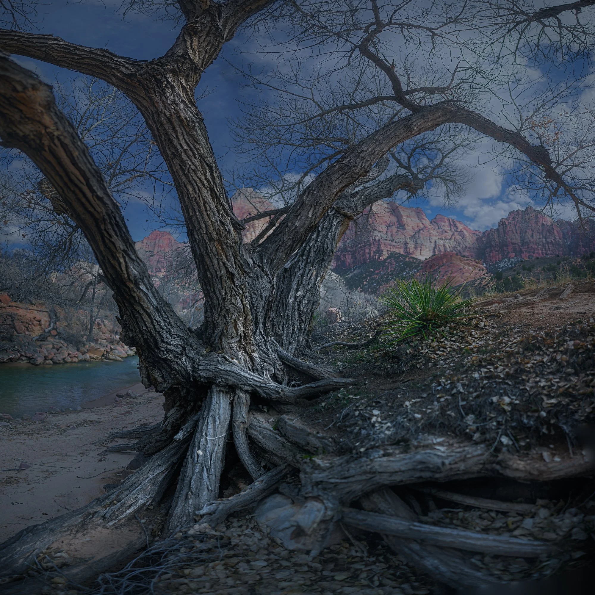 watchman by stream - redux 3-6-22.jpg