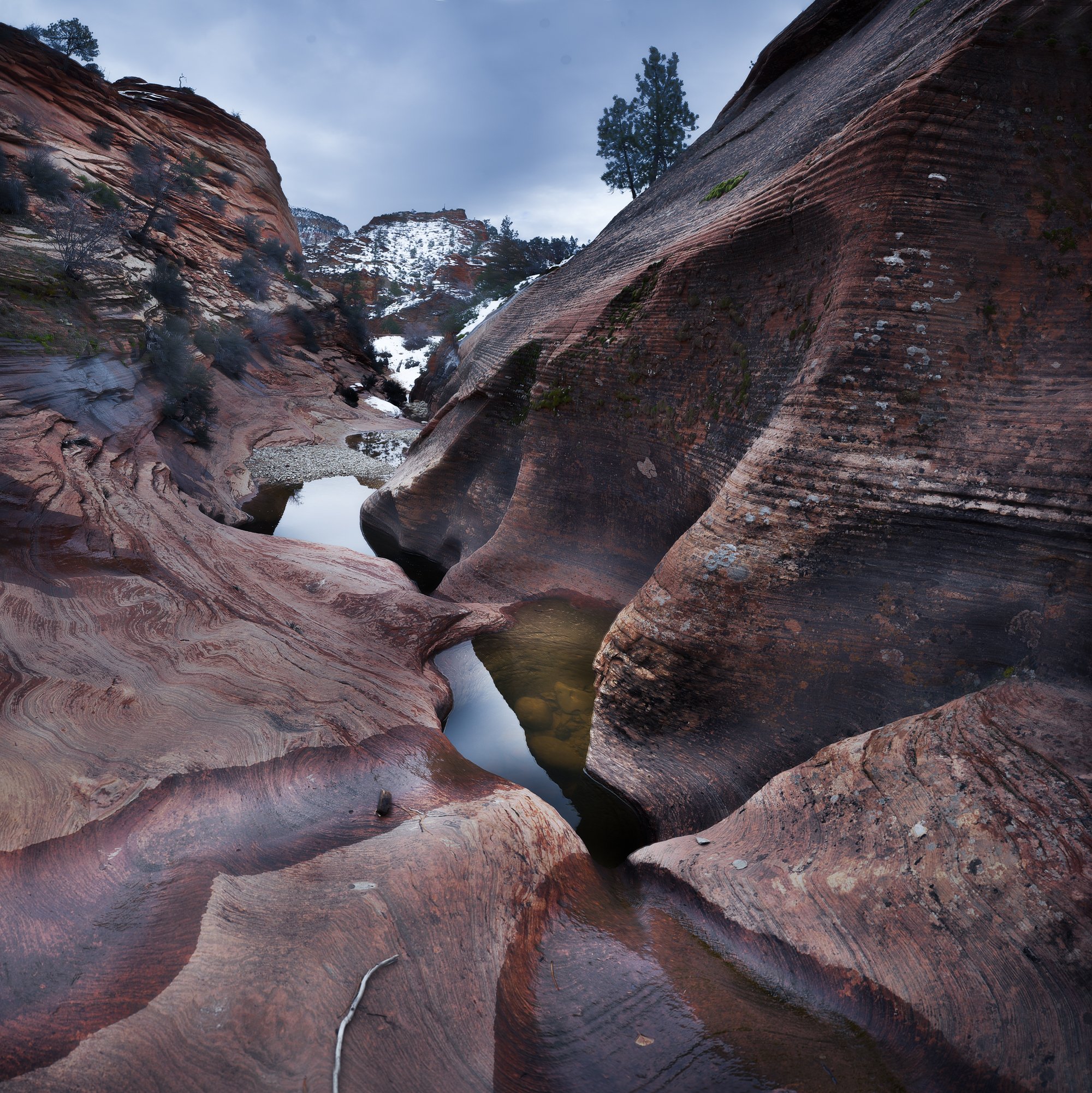 Zion plateau canyone 2.jpg