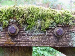 DSCF0084
