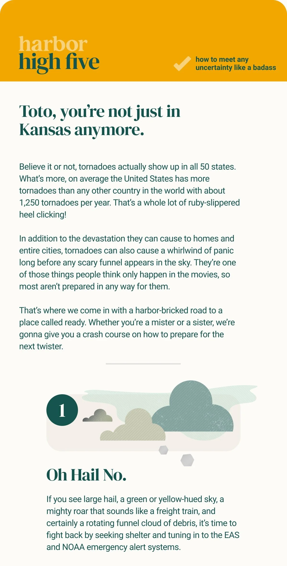  harbor, a disaster preparedness platform and app, seeks to be a friendly guide in the readiness space. They asked me to come up with a way to engage with their growing community. After a naming convention exploration, I came up with this, and then p