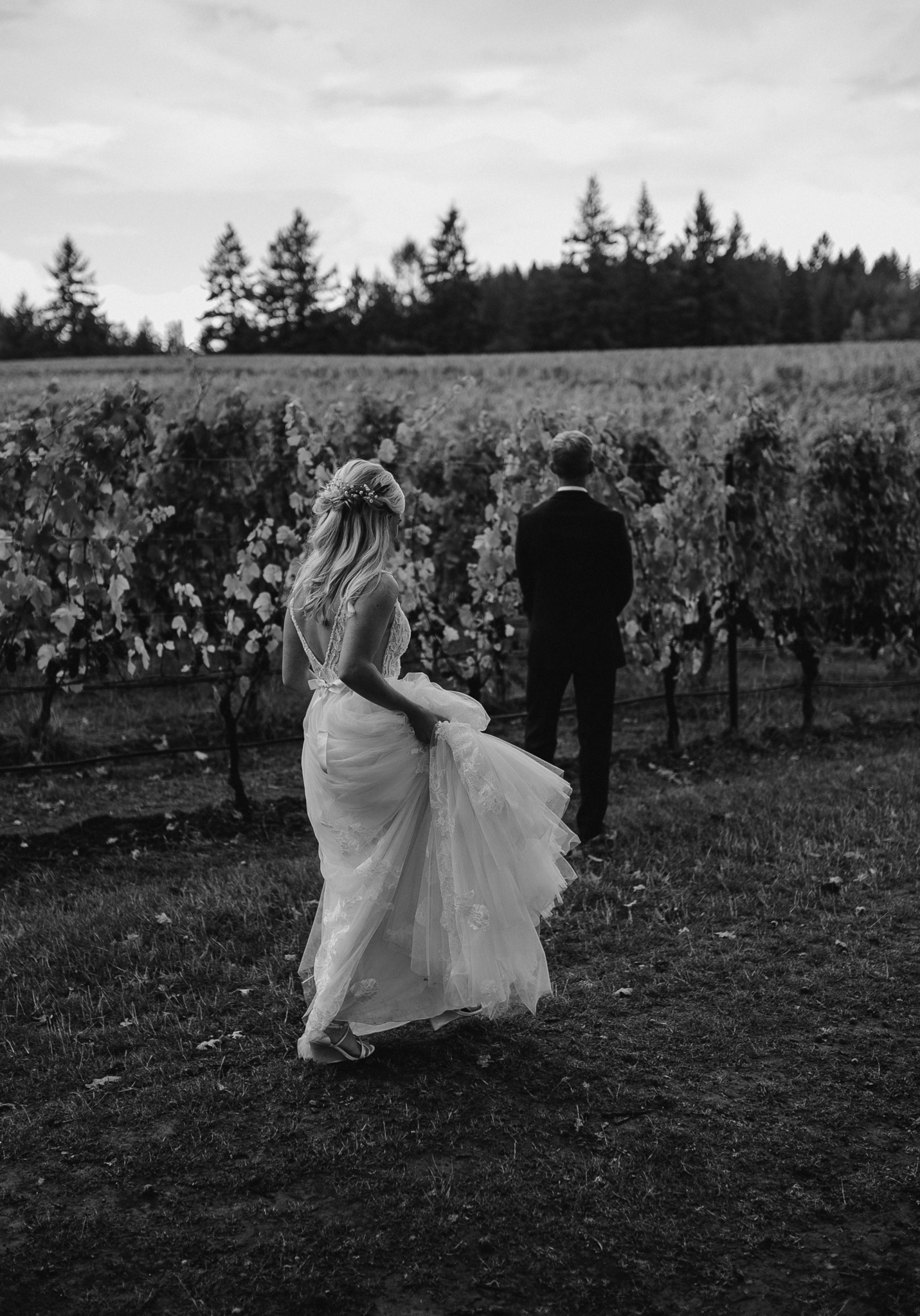 zenith-vineyard-oregon-summer-wedding-172.jpg