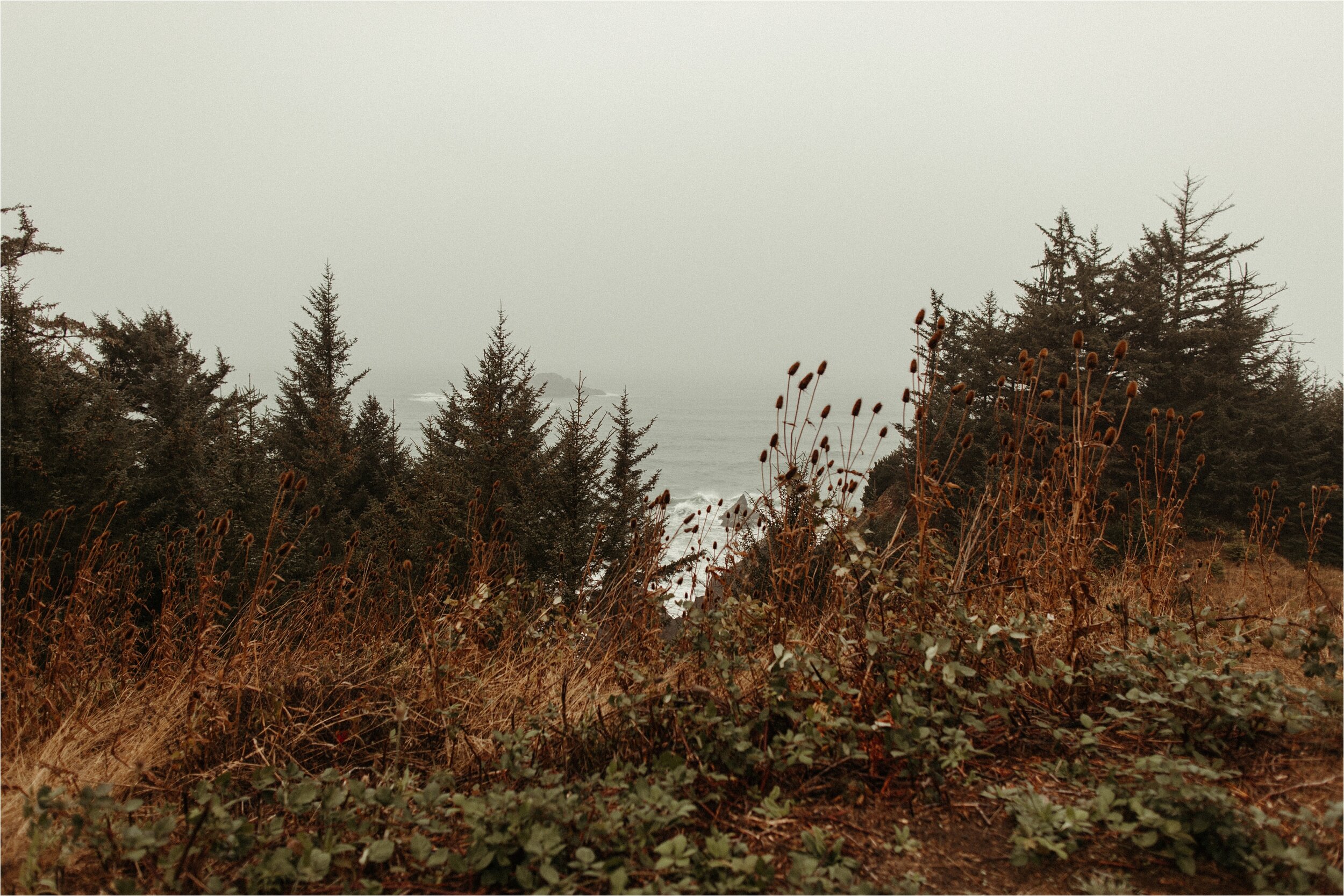 oregon-coast-elopement_0009.jpg