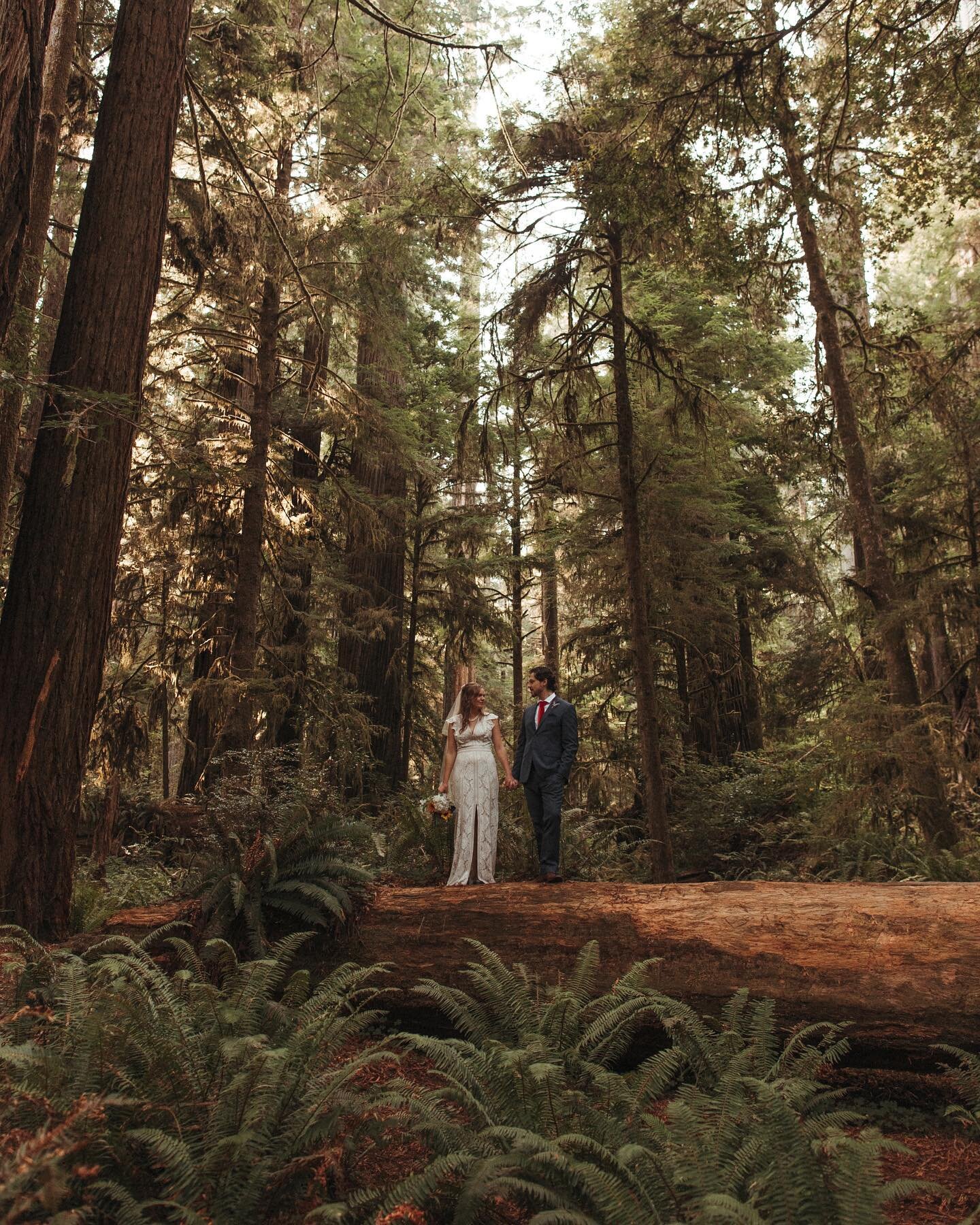 2020 has me falling hard for tiny weddings &mdash; ones that give space for intimate moments with your closest friends and family, and time to run away for a few minutes and explore. For Alyssa &amp; Santiago&rsquo;s special day, we got to trek throu