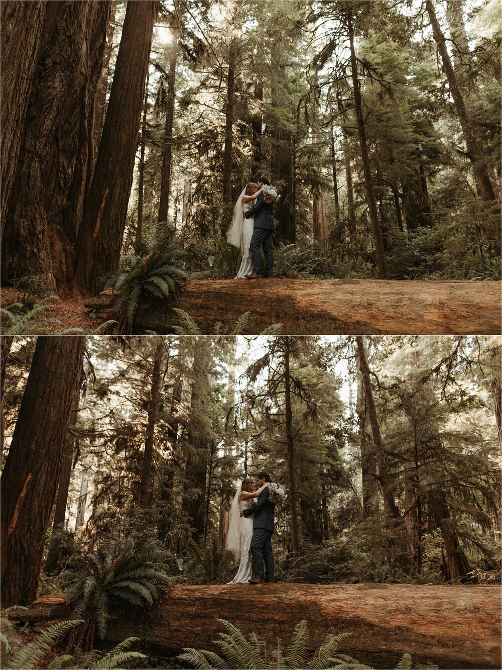 red-wood-california-elopement-wedding_0025.jpg