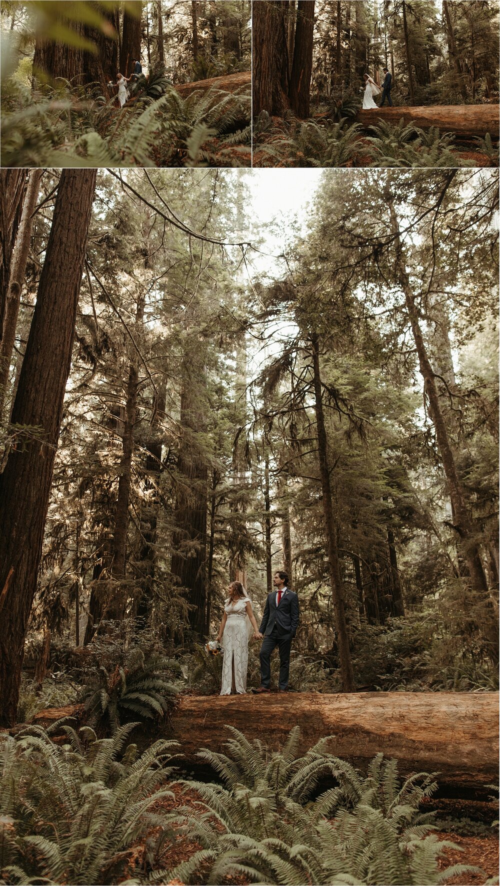 red-wood-california-elopement-wedding_0027.jpg